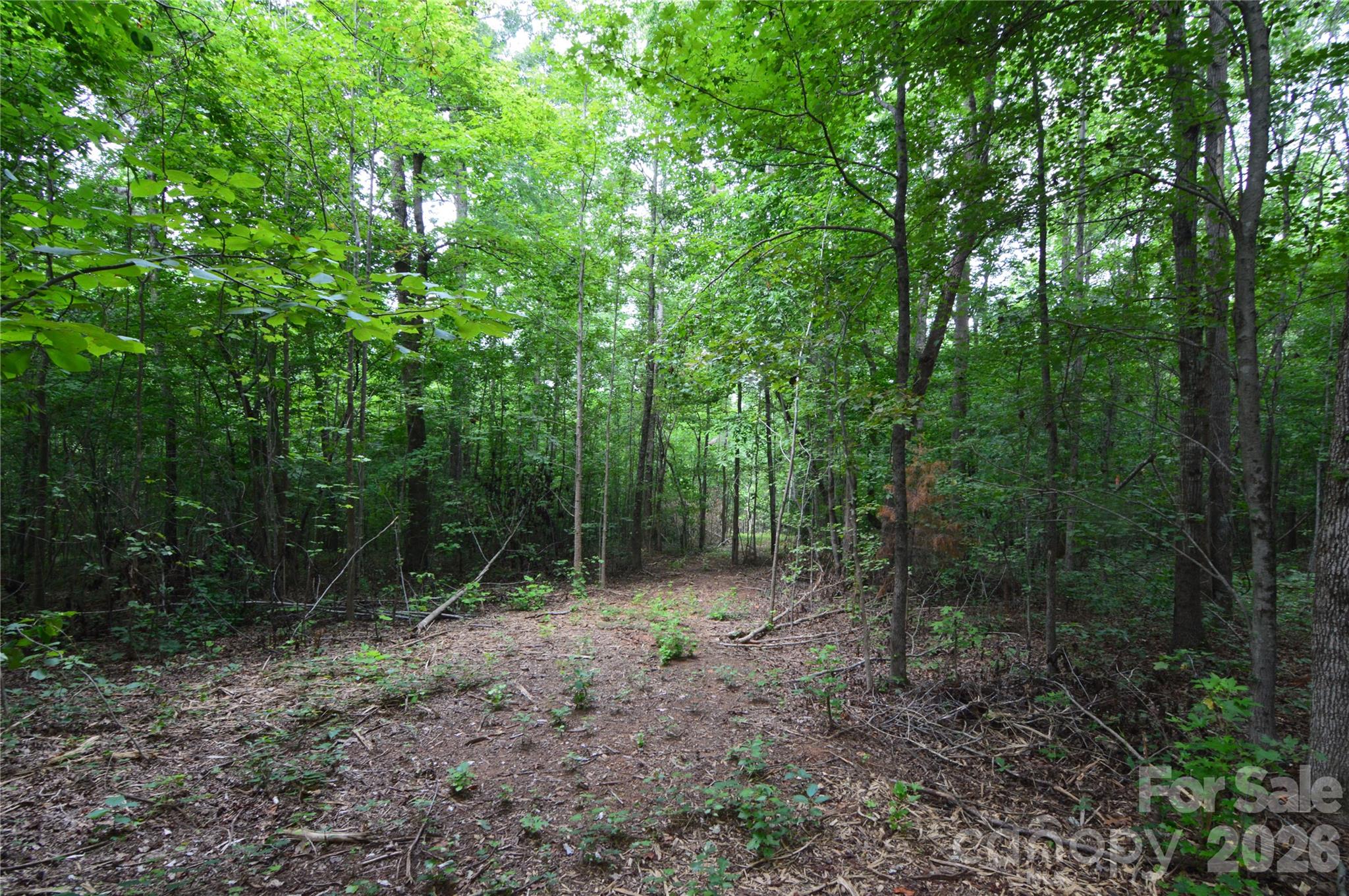 607 Anthony Grove Road Property Photo 37