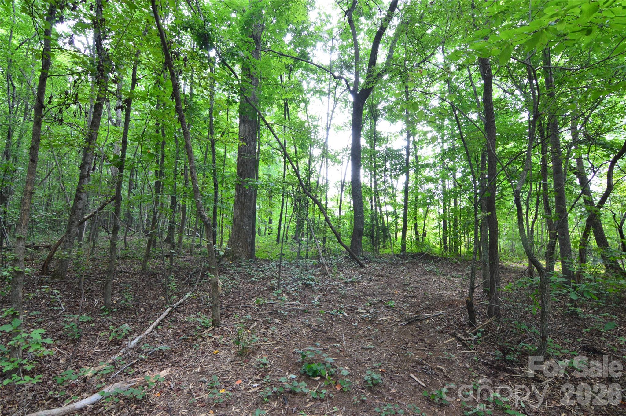 607 Anthony Grove Road Property Photo 38