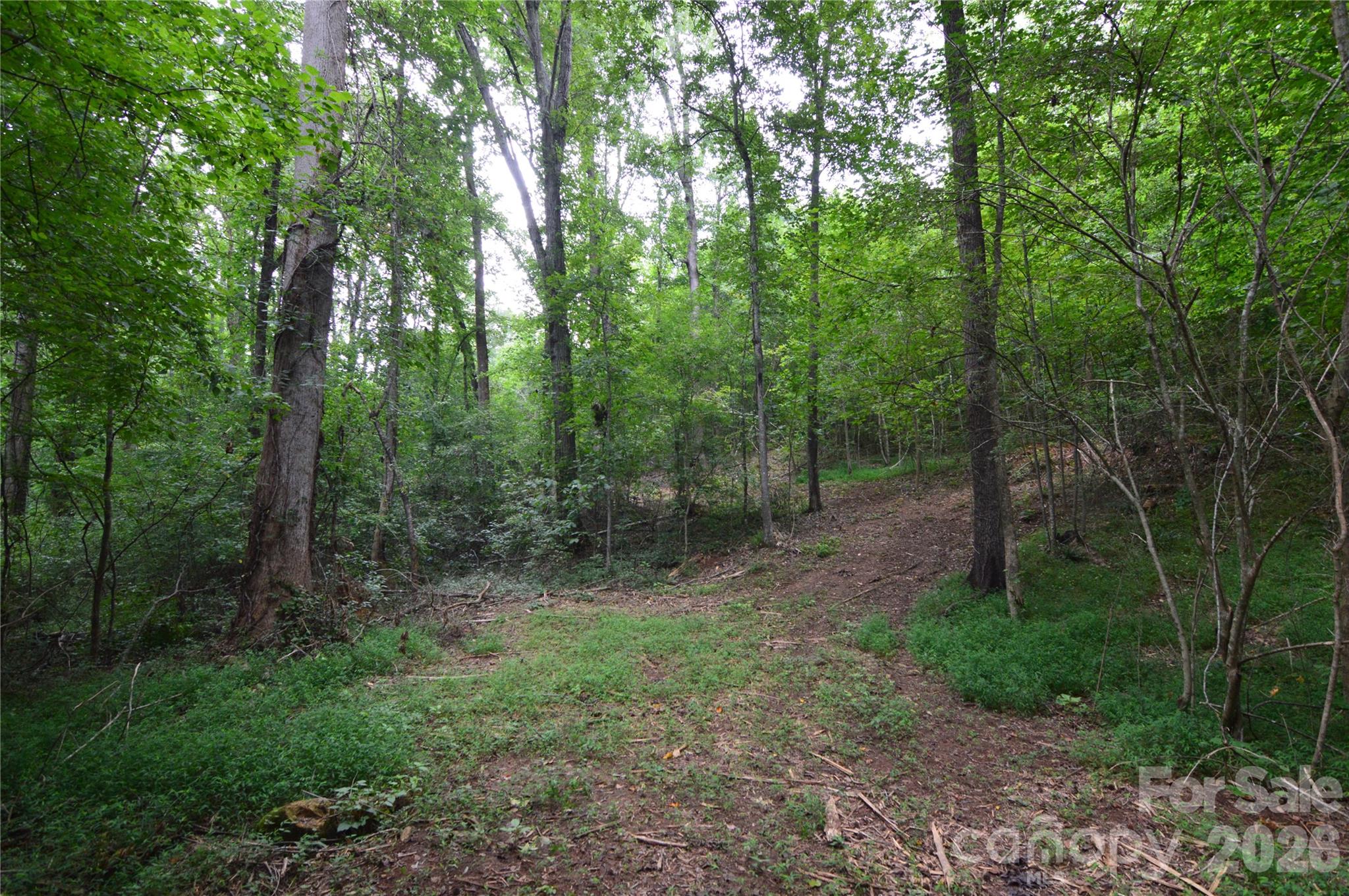 607 Anthony Grove Road Property Photo 39