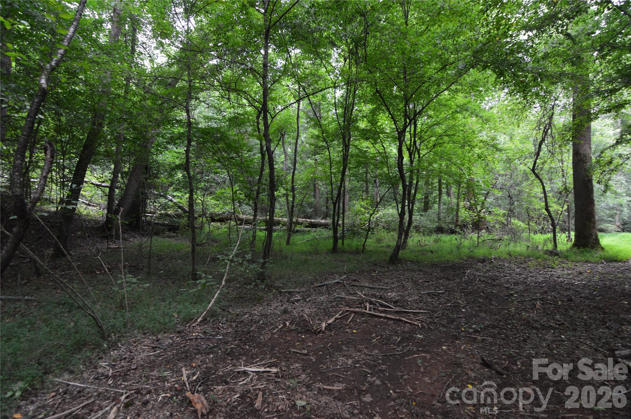 607 Anthony Grove Road Property Photo 40