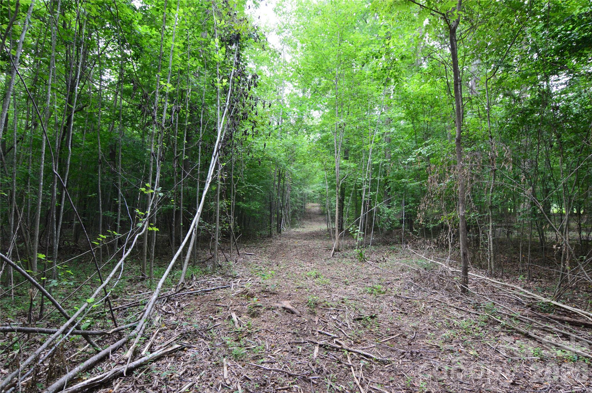 607 Anthony Grove Road Property Photo 42