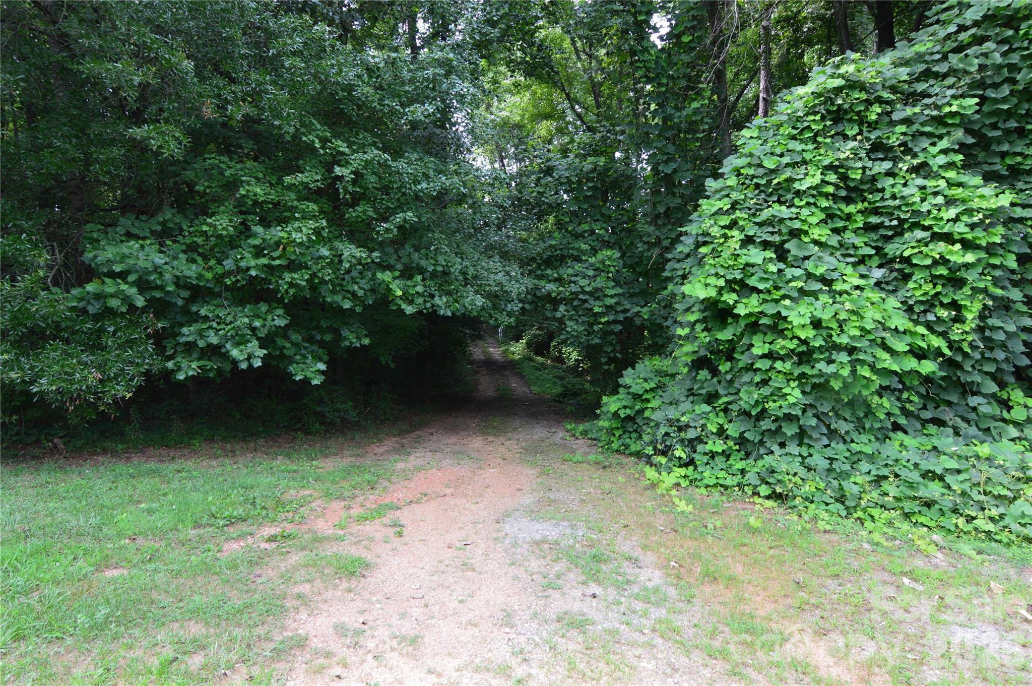 607 Anthony Grove Road Property Photo 43