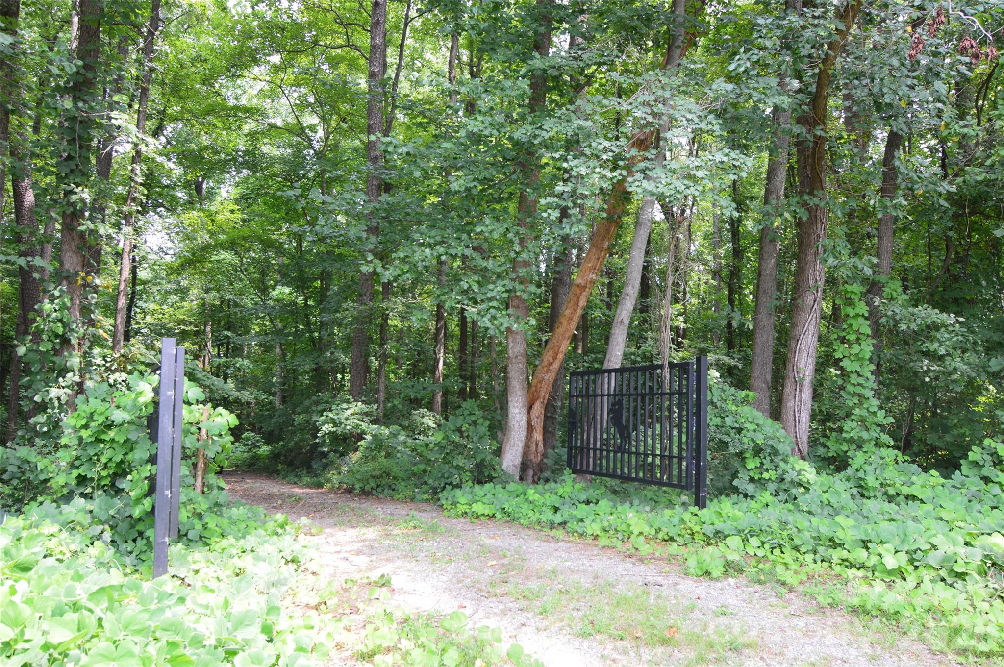 607 Anthony Grove Road Property Photo 44