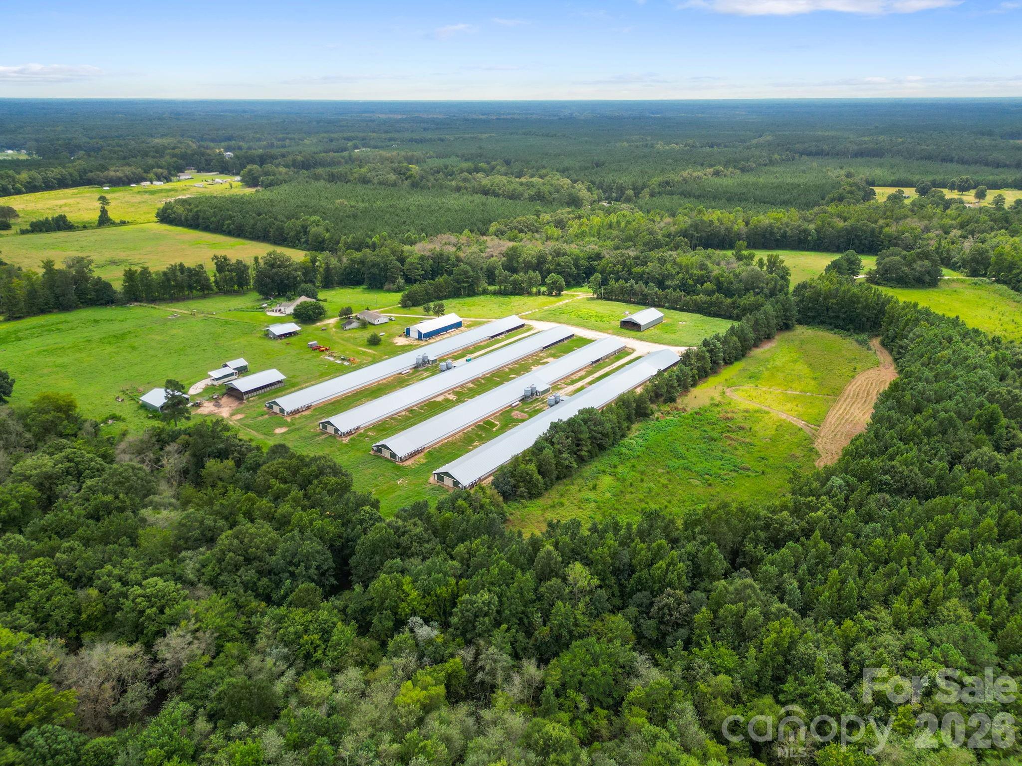 1333 Bunnlevel Erwin Road Property Photo 5