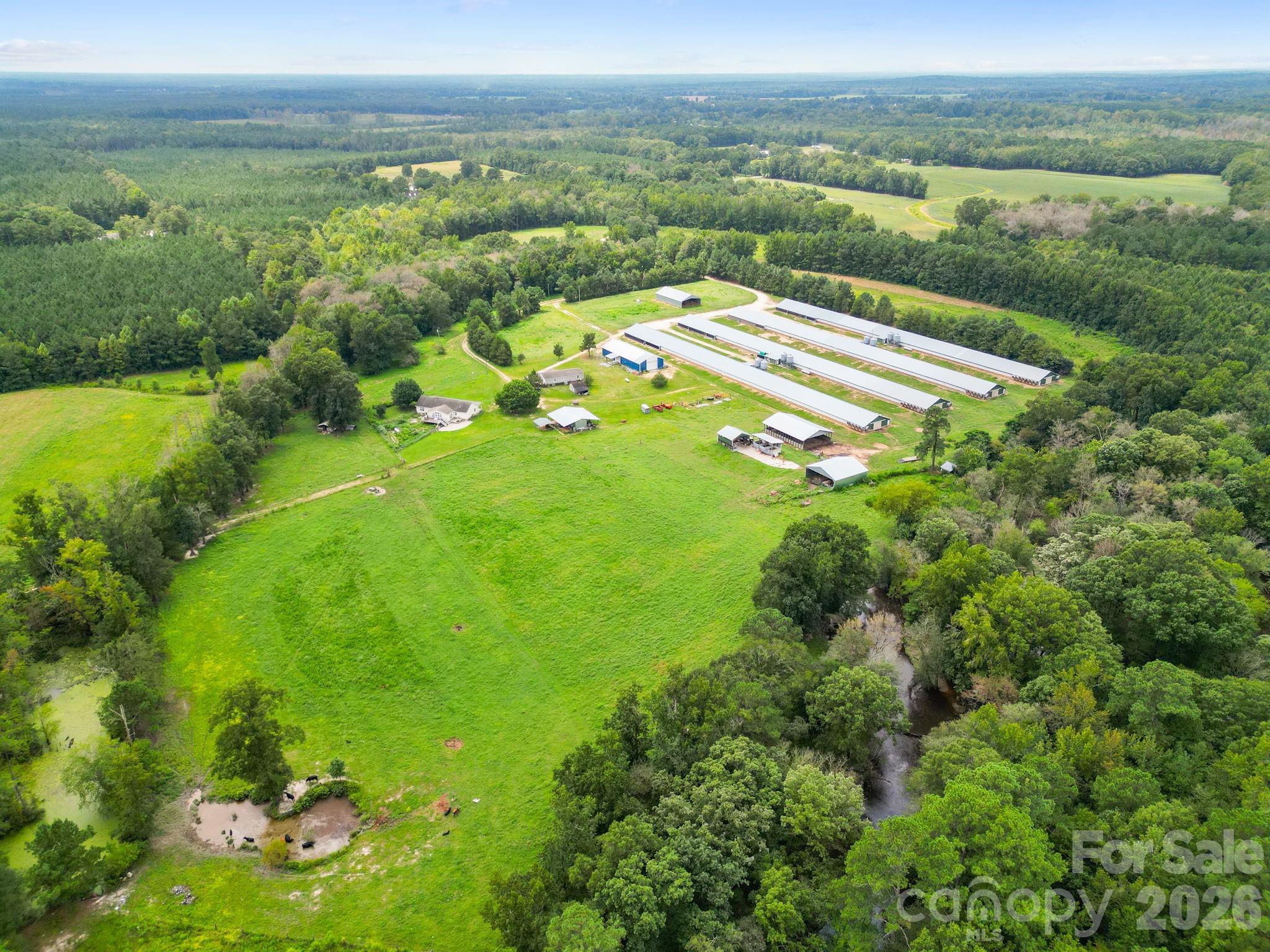 1333 Bunnlevel Erwin Road Property Photo 6