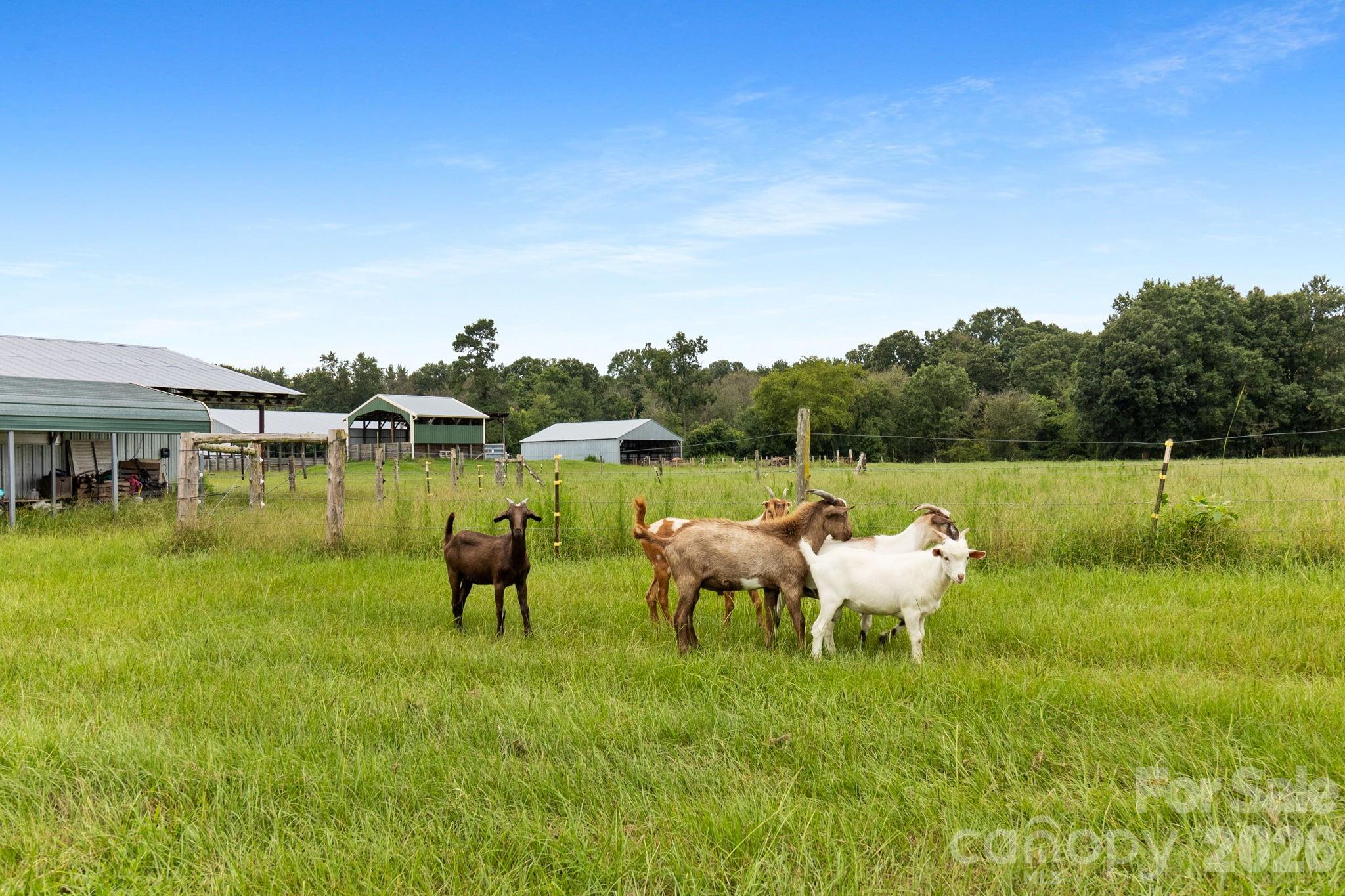 1333 Bunnlevel Erwin Road Property Photo 26
