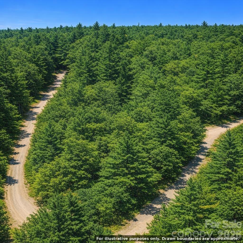 Lot 124 Trellis Drive Property Photo 1
