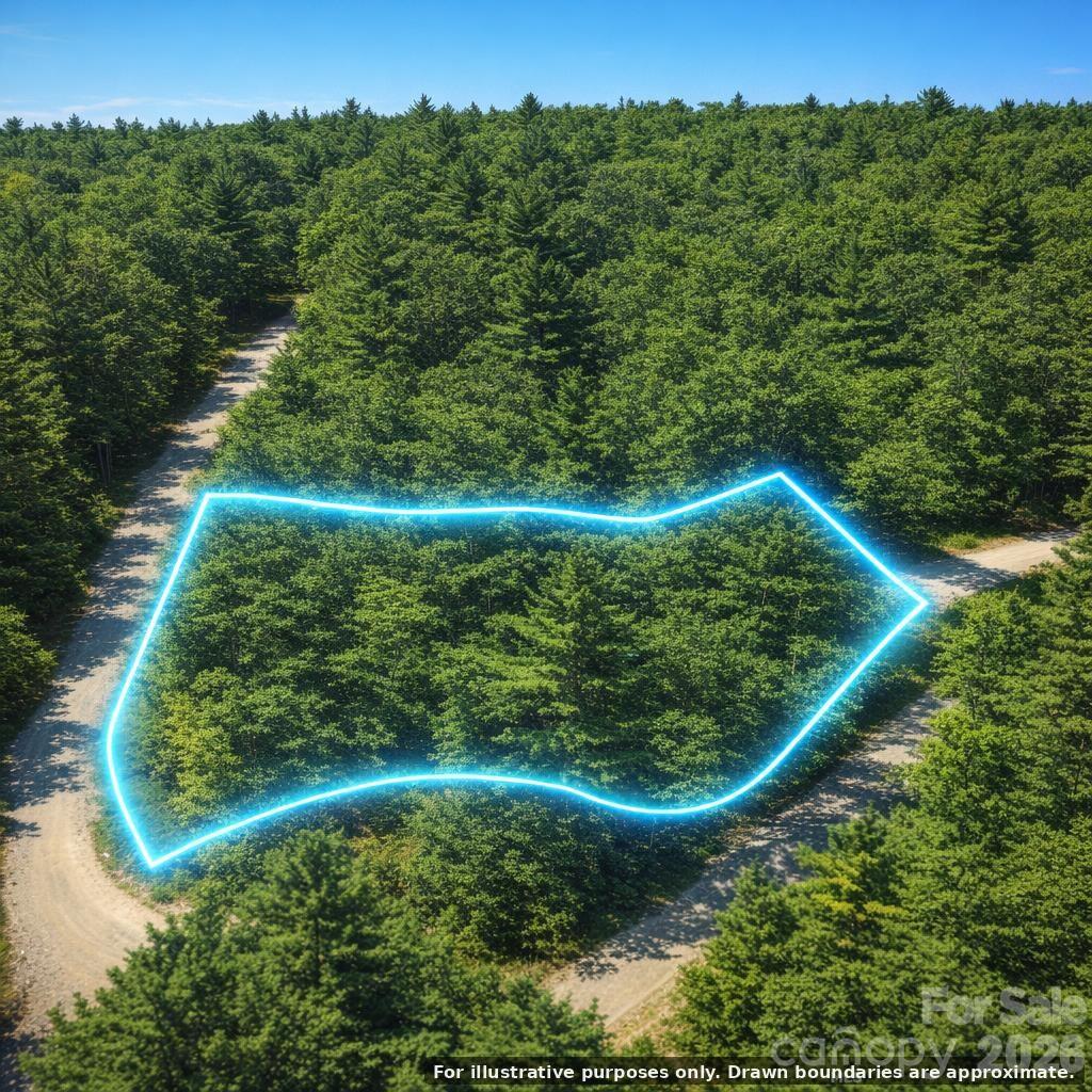 Lot 124 Trellis Drive Property Photo 2