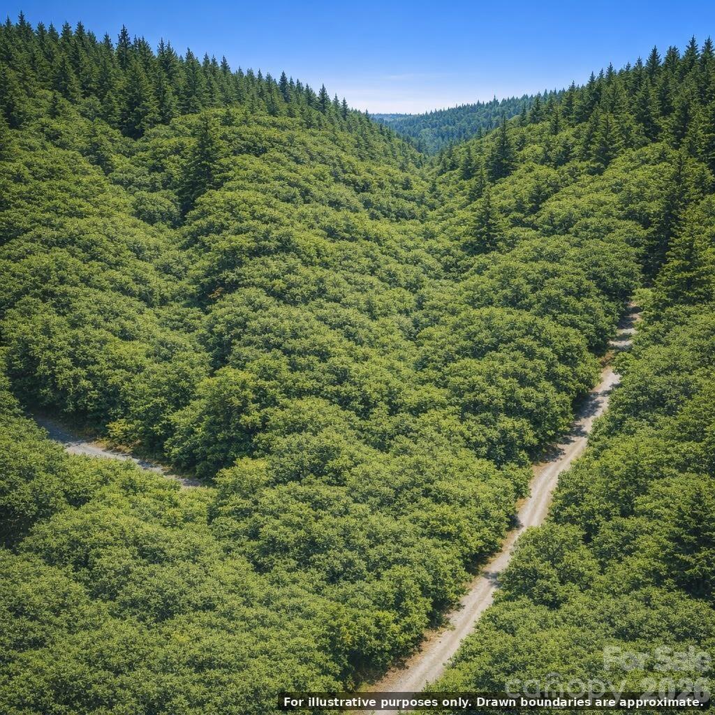 Lot 124 Trellis Drive Property Photo 6