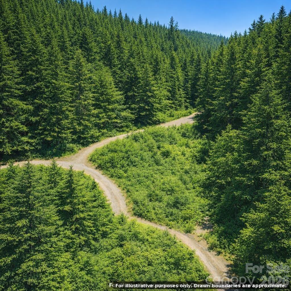 Lot 124 Trellis Drive Property Photo 10