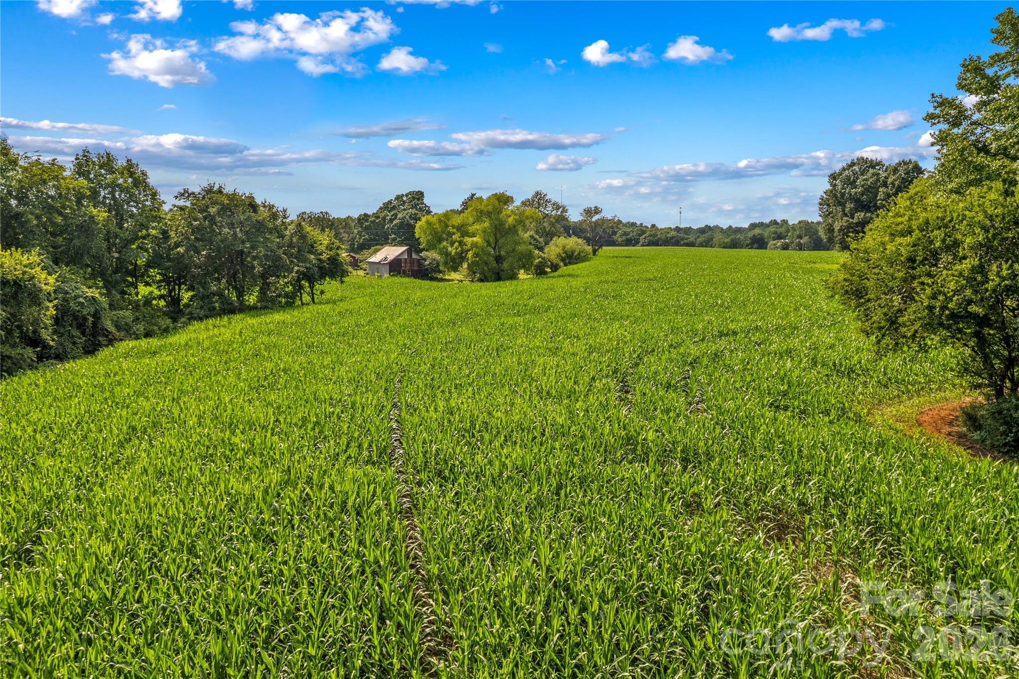 532 Rash Road Property Photo 42