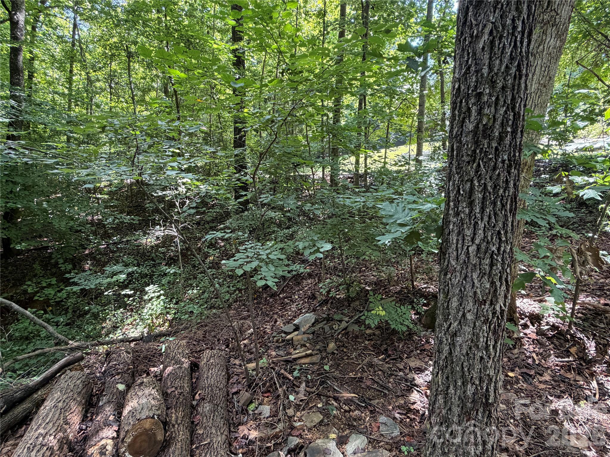 0 Beechtree Circle Property Photo 3