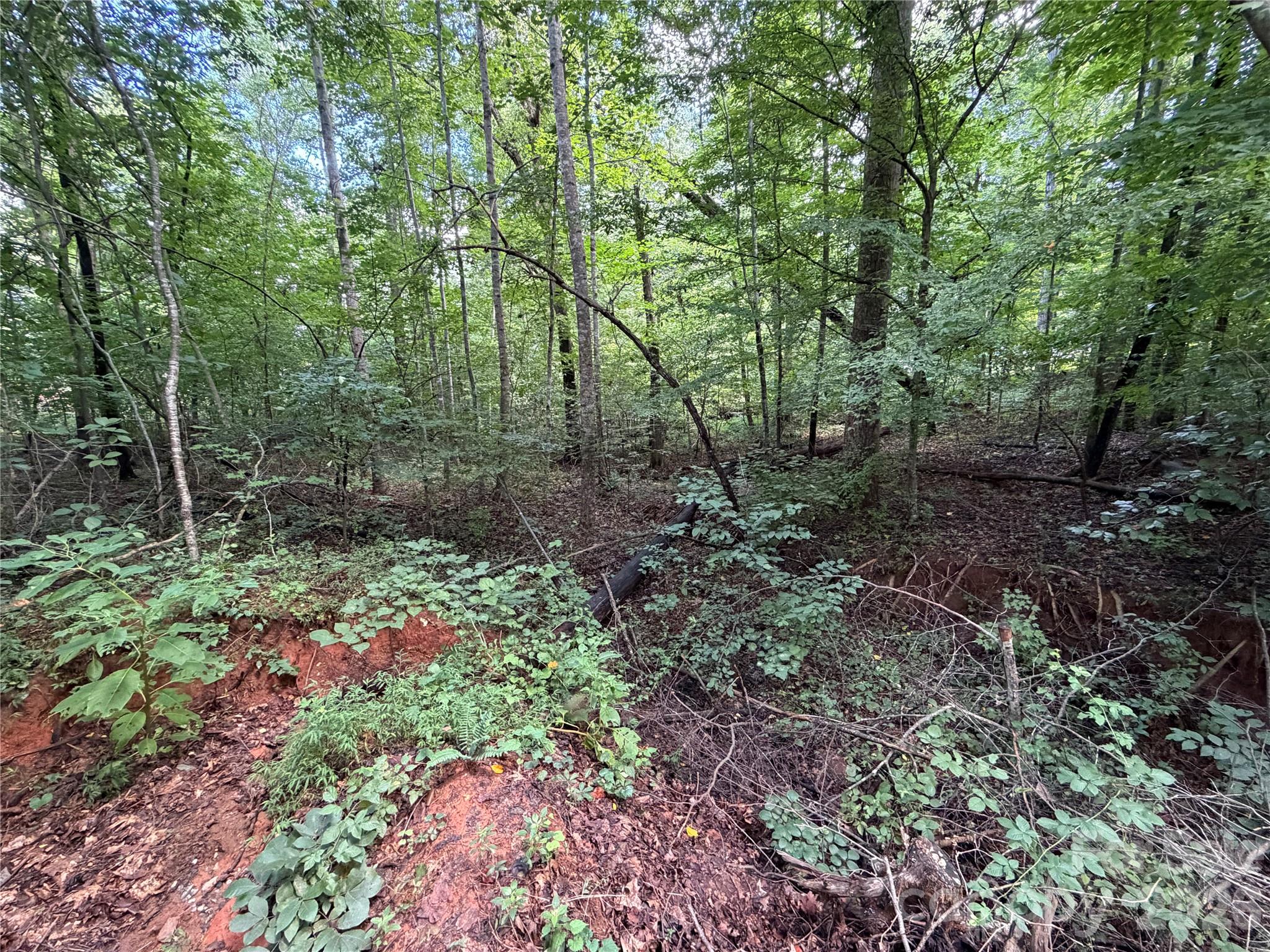 0 Beechtree Circle Property Photo 9