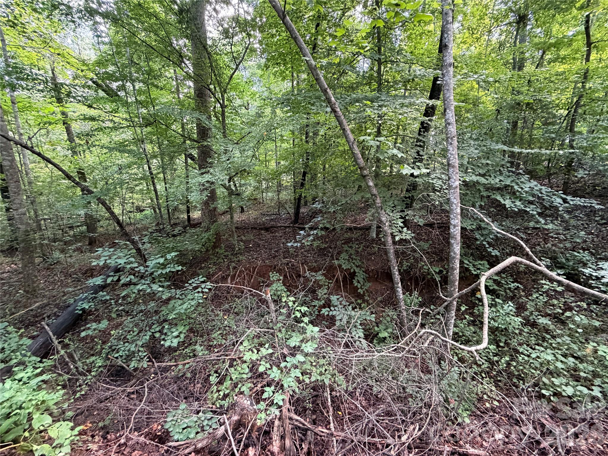 0 Beechtree Circle Property Photo 10