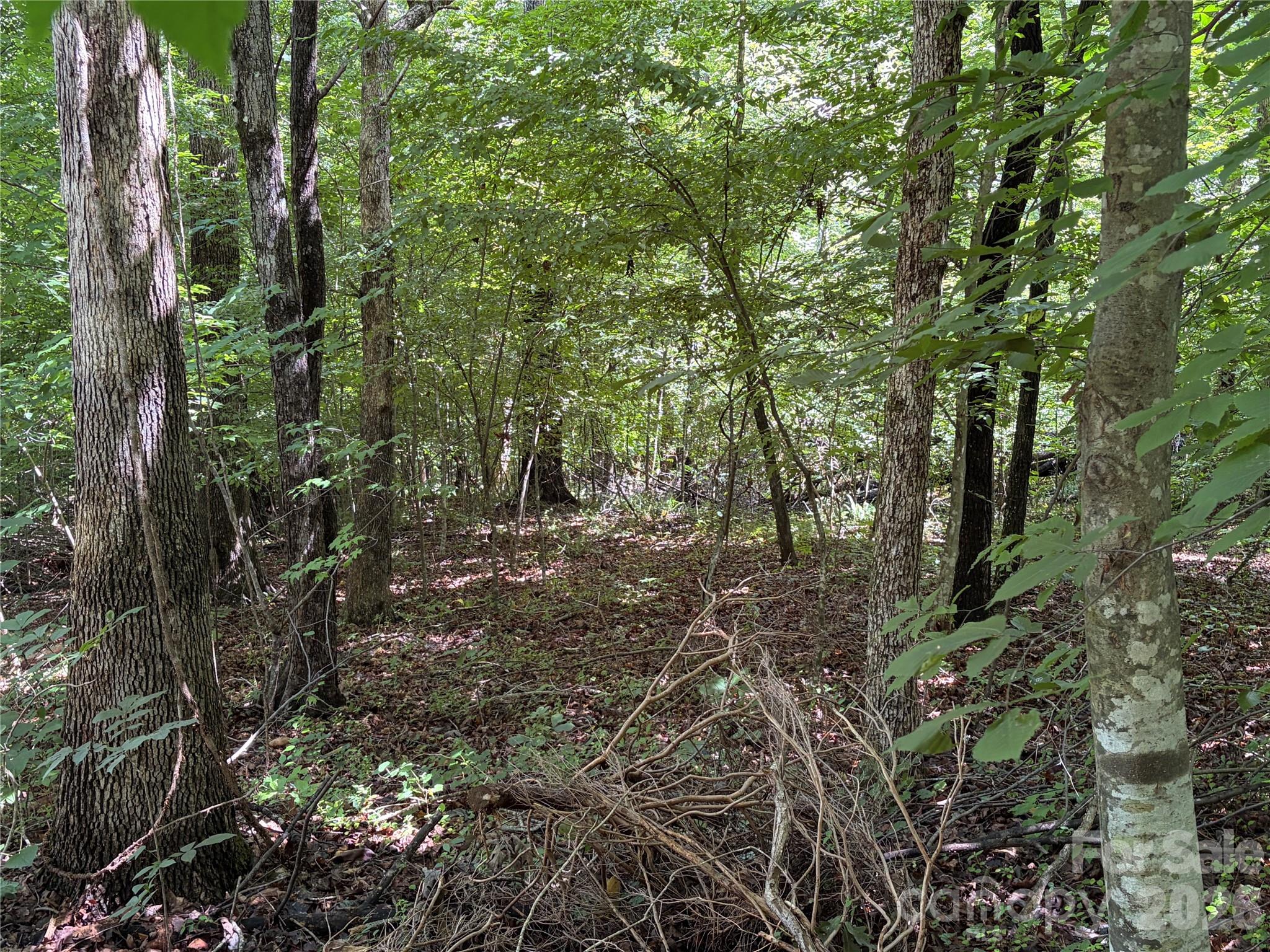 0 Beechtree Circle Property Photo 11