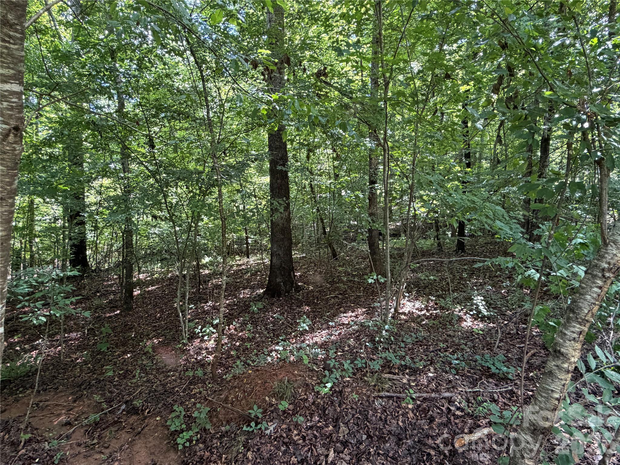0 Beechtree Circle Property Photo 12
