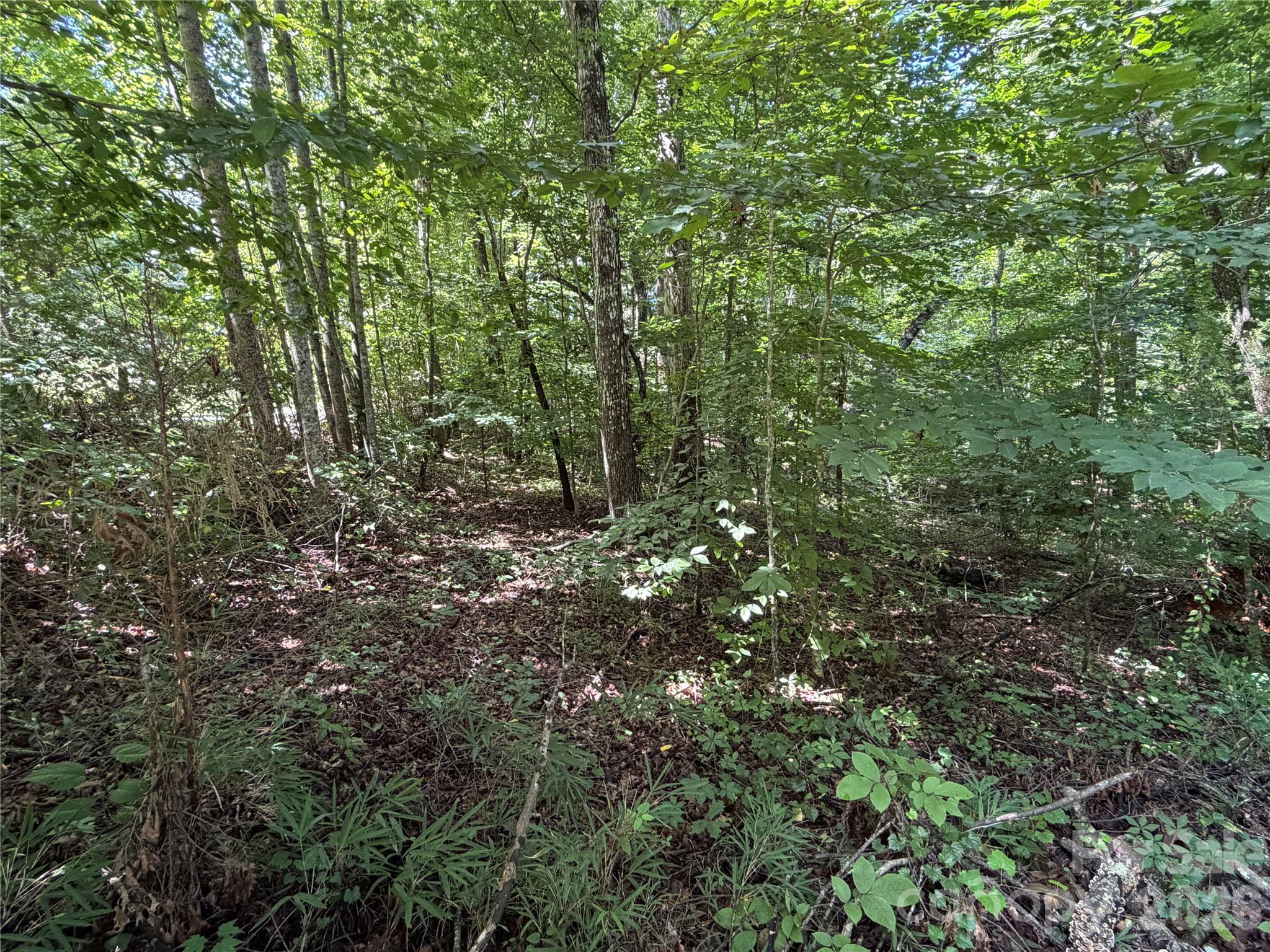 0 Beechtree Circle Property Photo 13