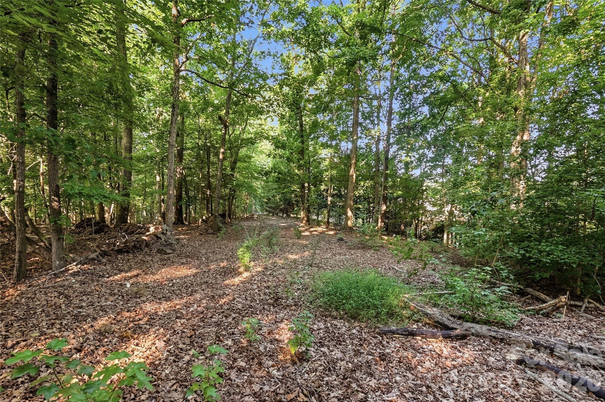 9704 Windygap Road Property Photo 7