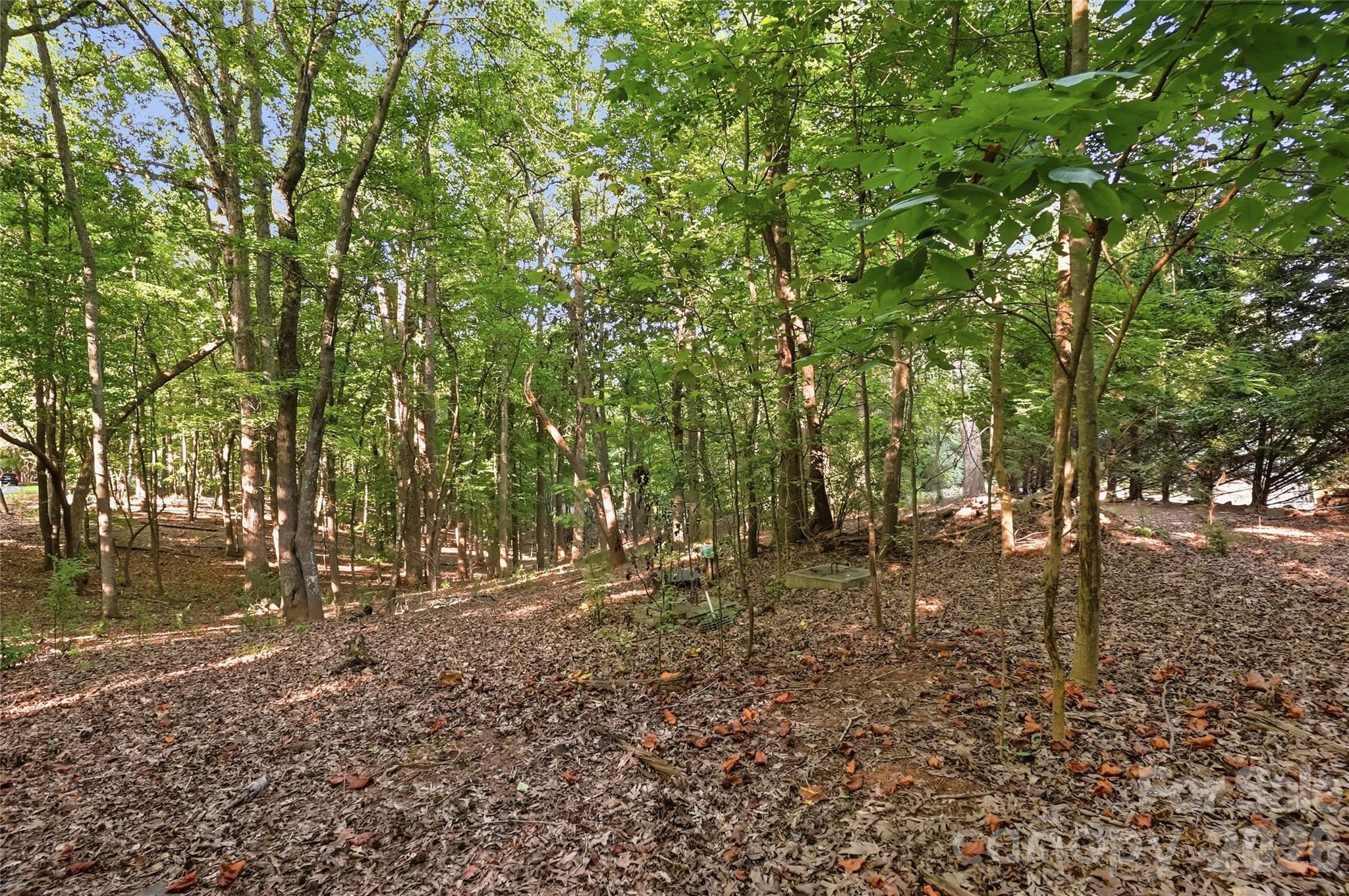 9704 Windygap Road Property Photo 8