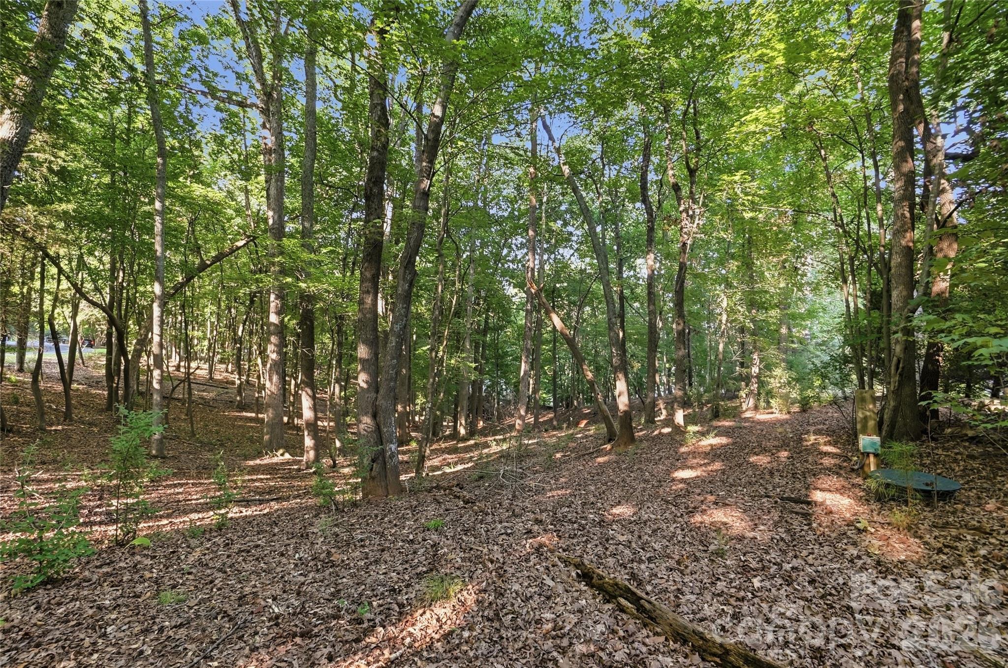 9704 Windygap Road Property Photo 9