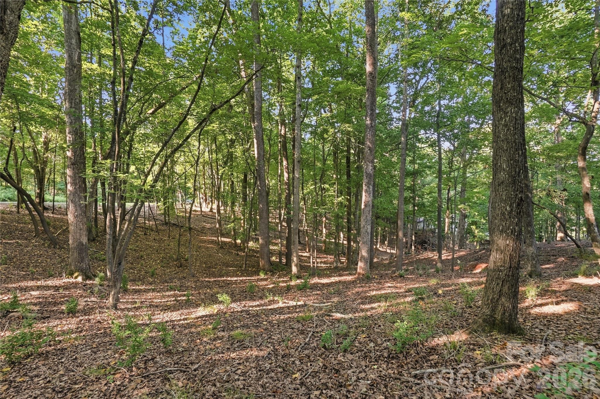 9704 Windygap Road Property Photo 10