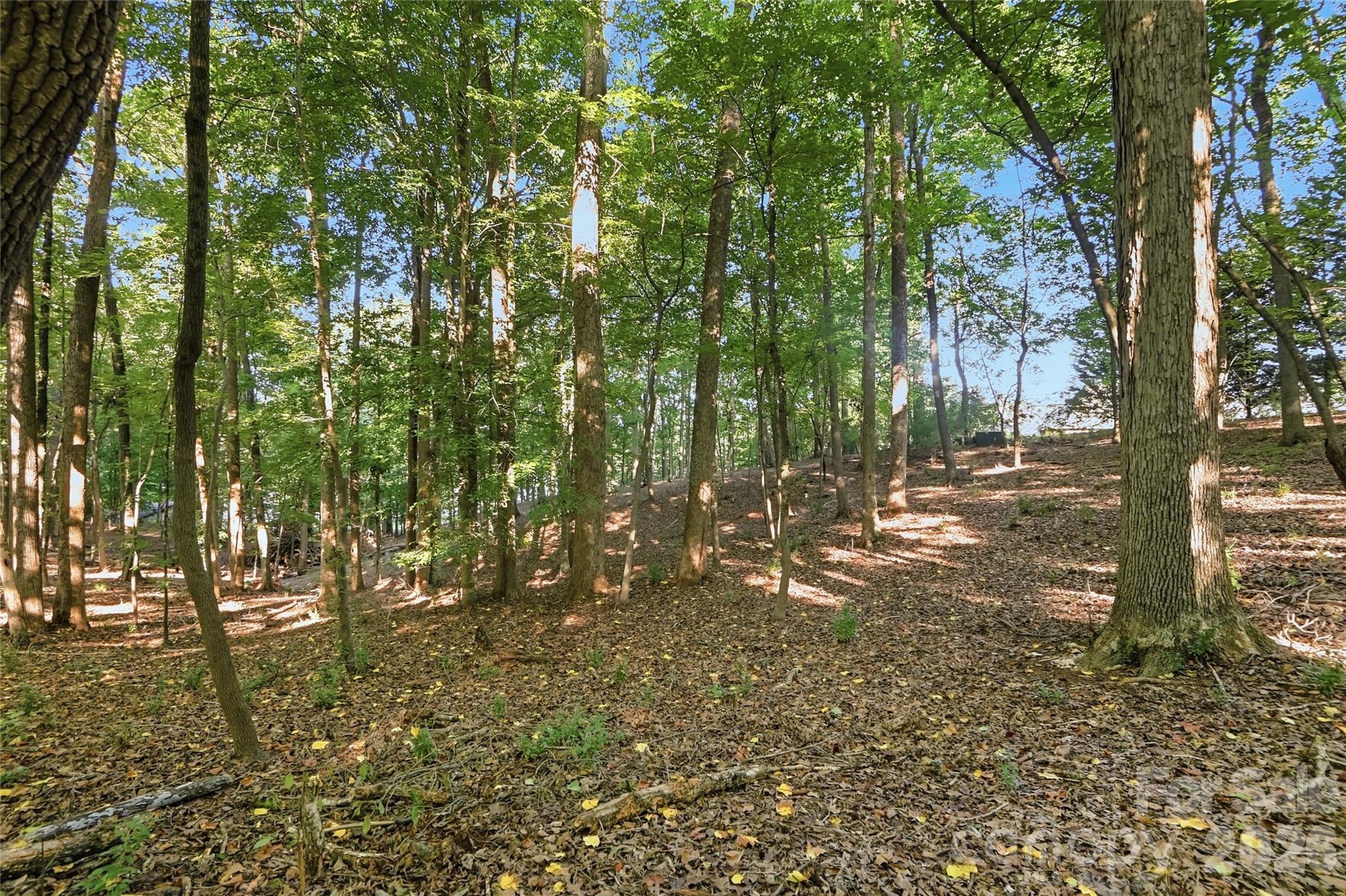 9704 Windygap Road Property Photo 11