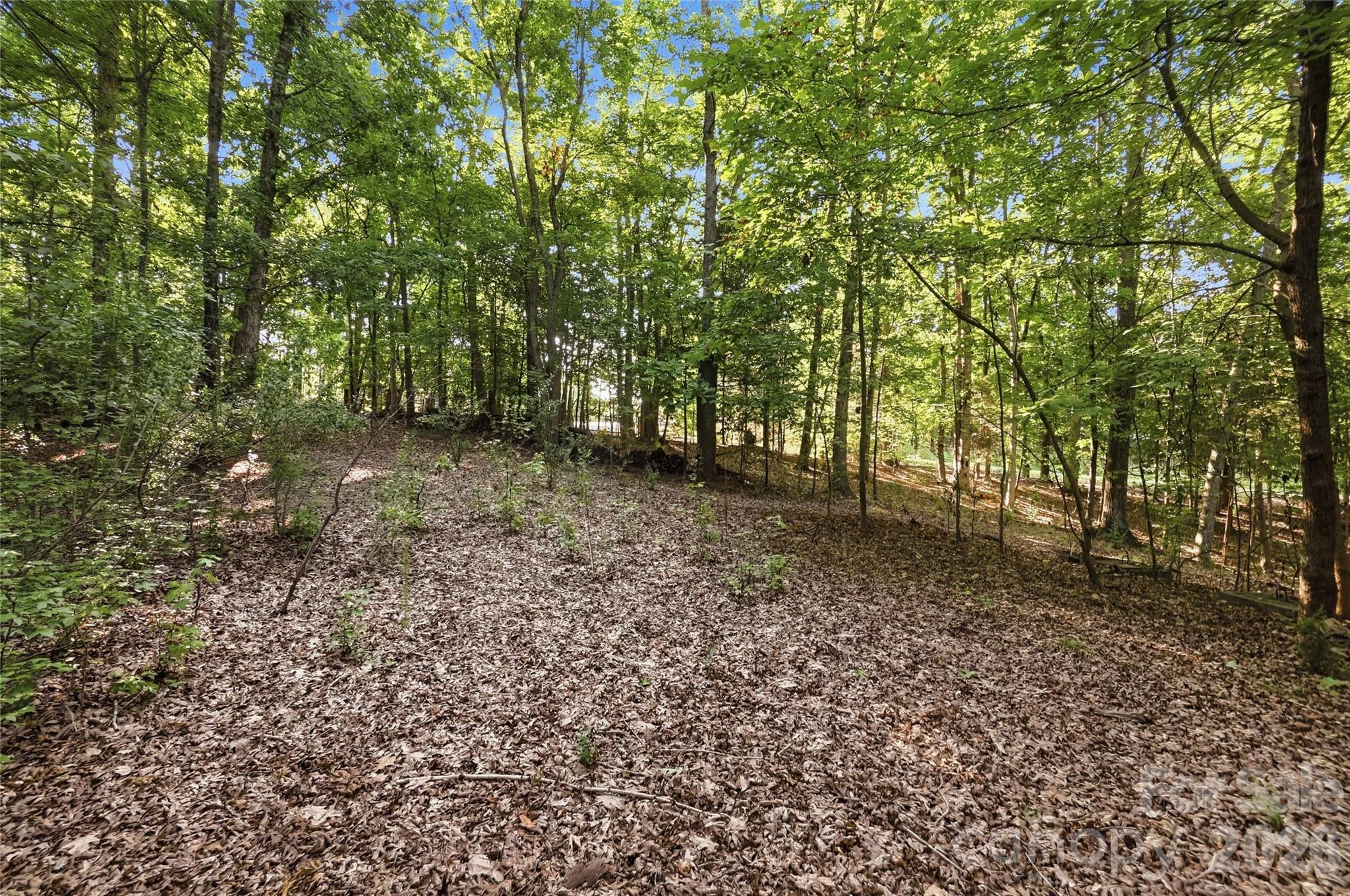 9704 Windygap Road Property Photo 13
