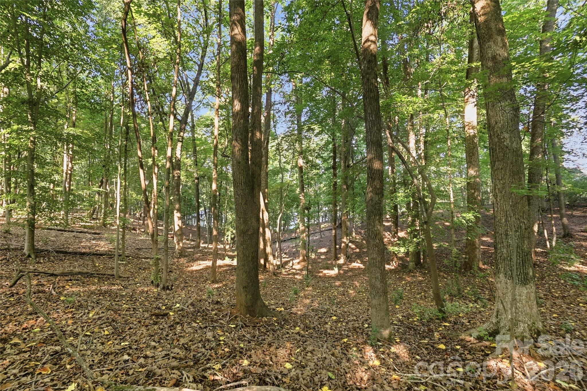 9704 Windygap Road Property Photo 14