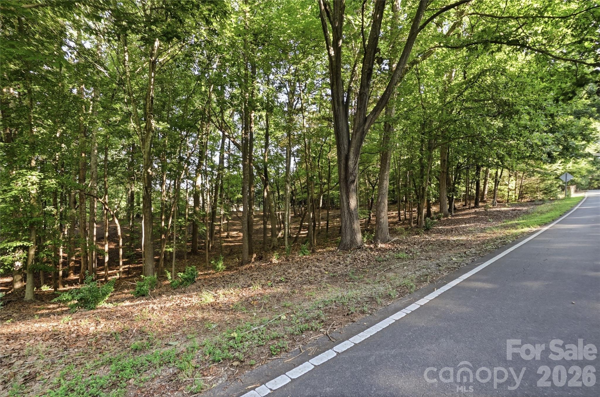 9704 Windygap Road Property Photo 15