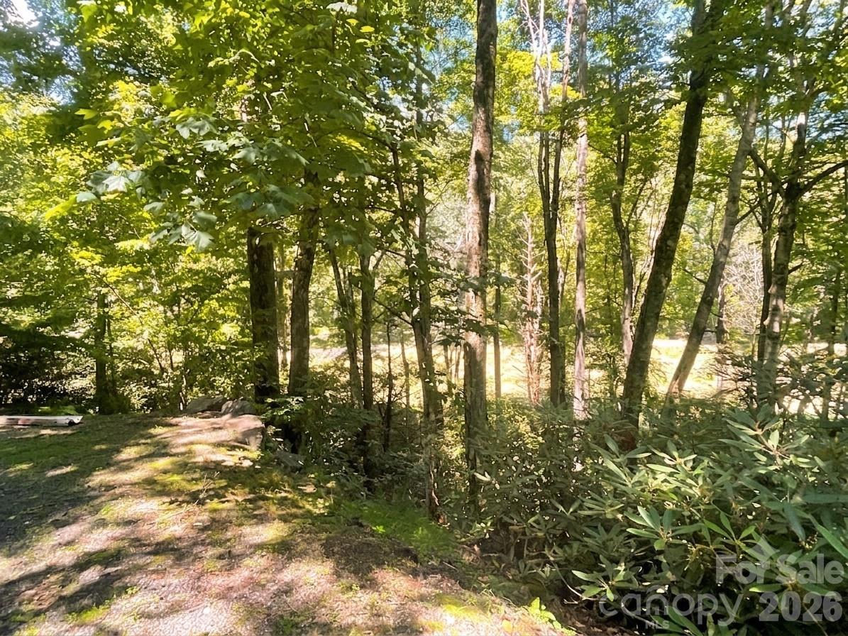 903 Winter Star Loop Property Photo 2