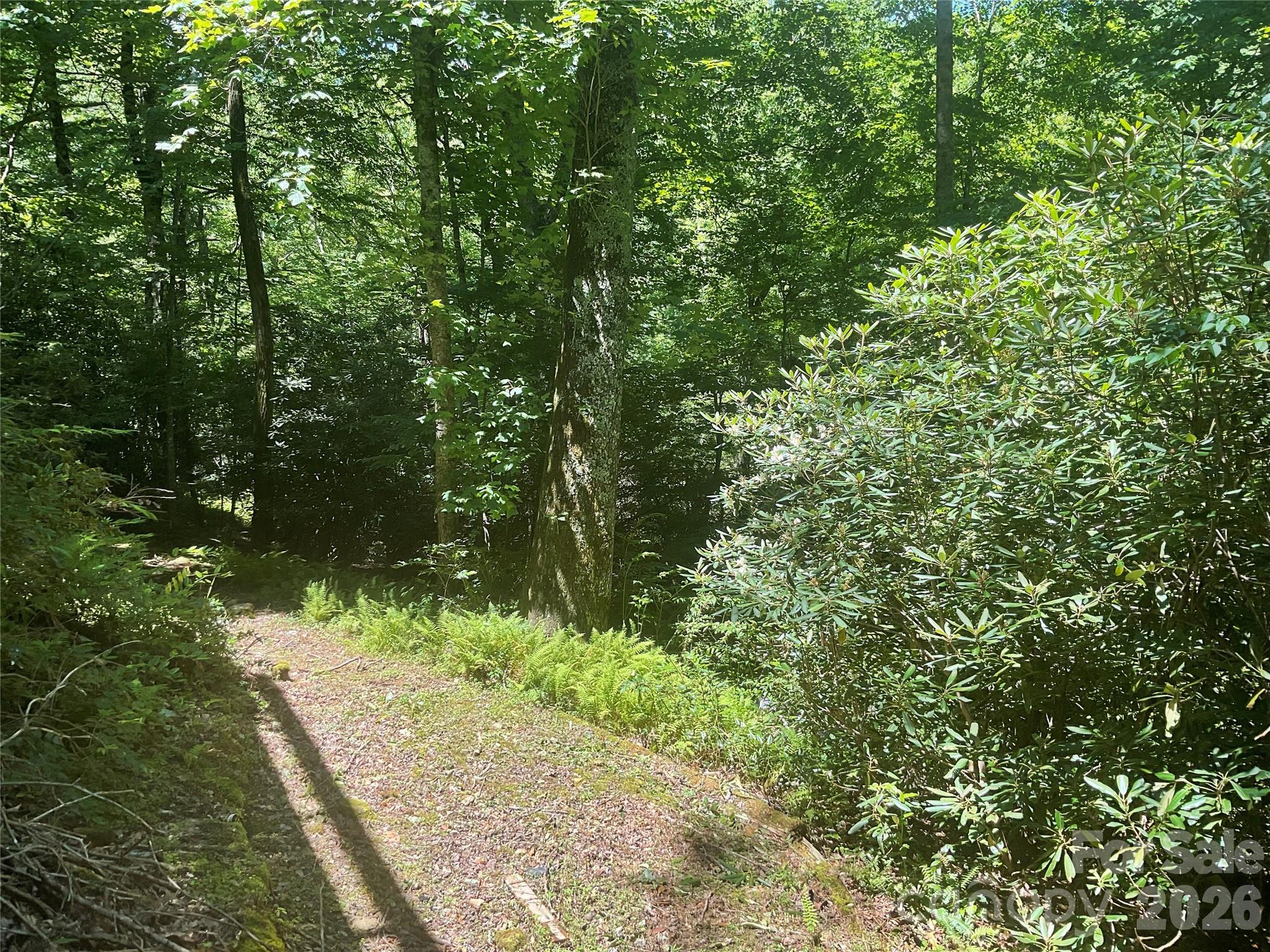 903 Winter Star Loop Property Photo 28