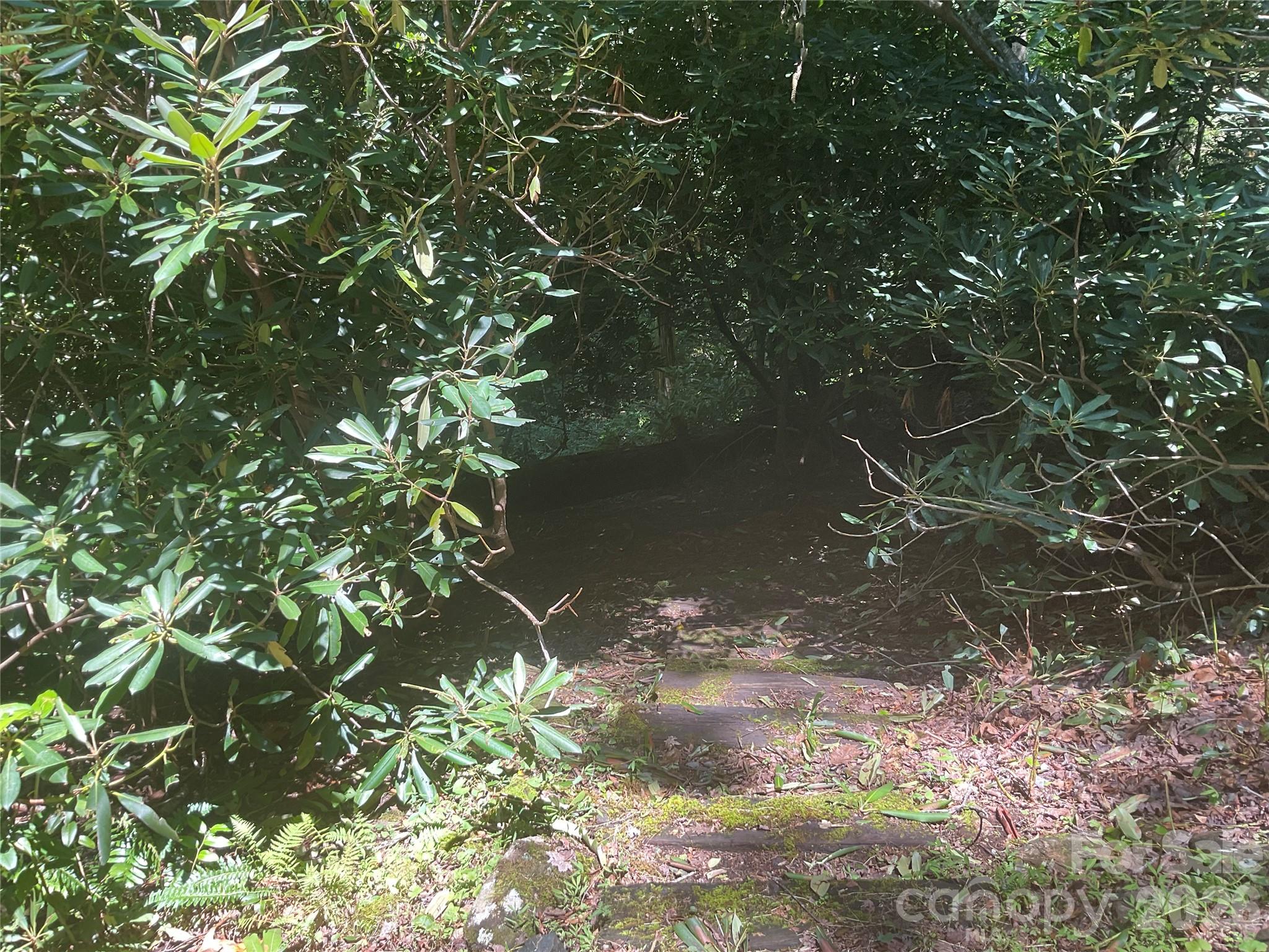903 Winter Star Loop Property Photo 29