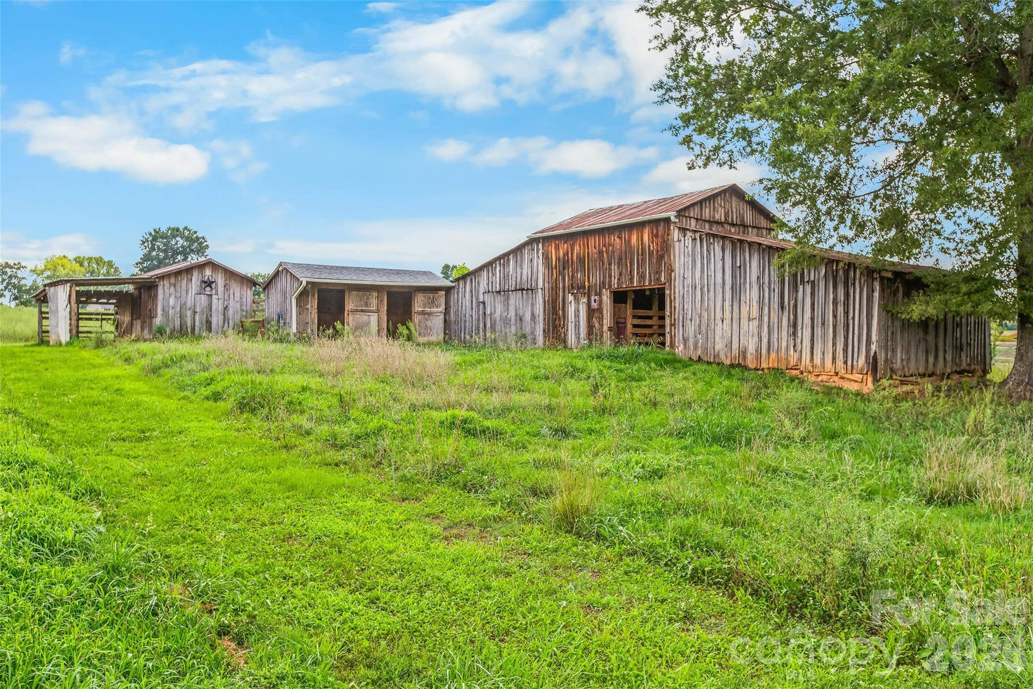 5398 Reidsville Road Property Photo 7