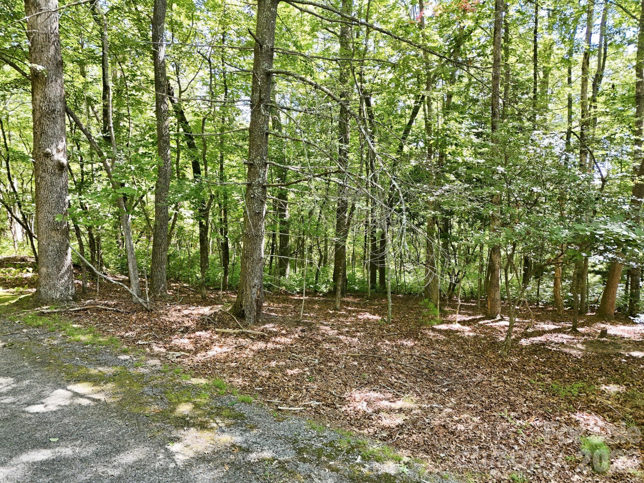 0 Mulberry Circle J-104 Property Photo 3