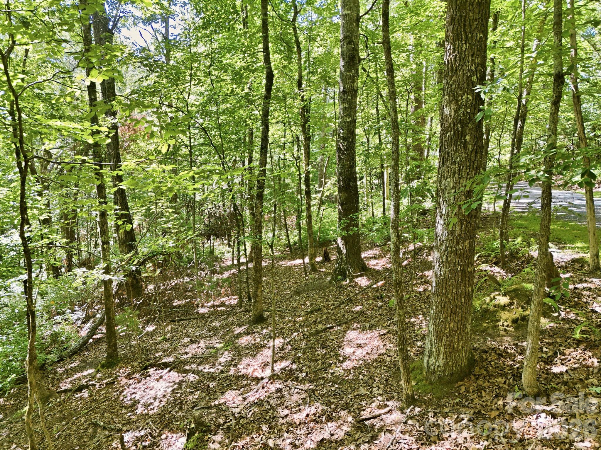 0 Mulberry Circle J-104 Property Photo 5