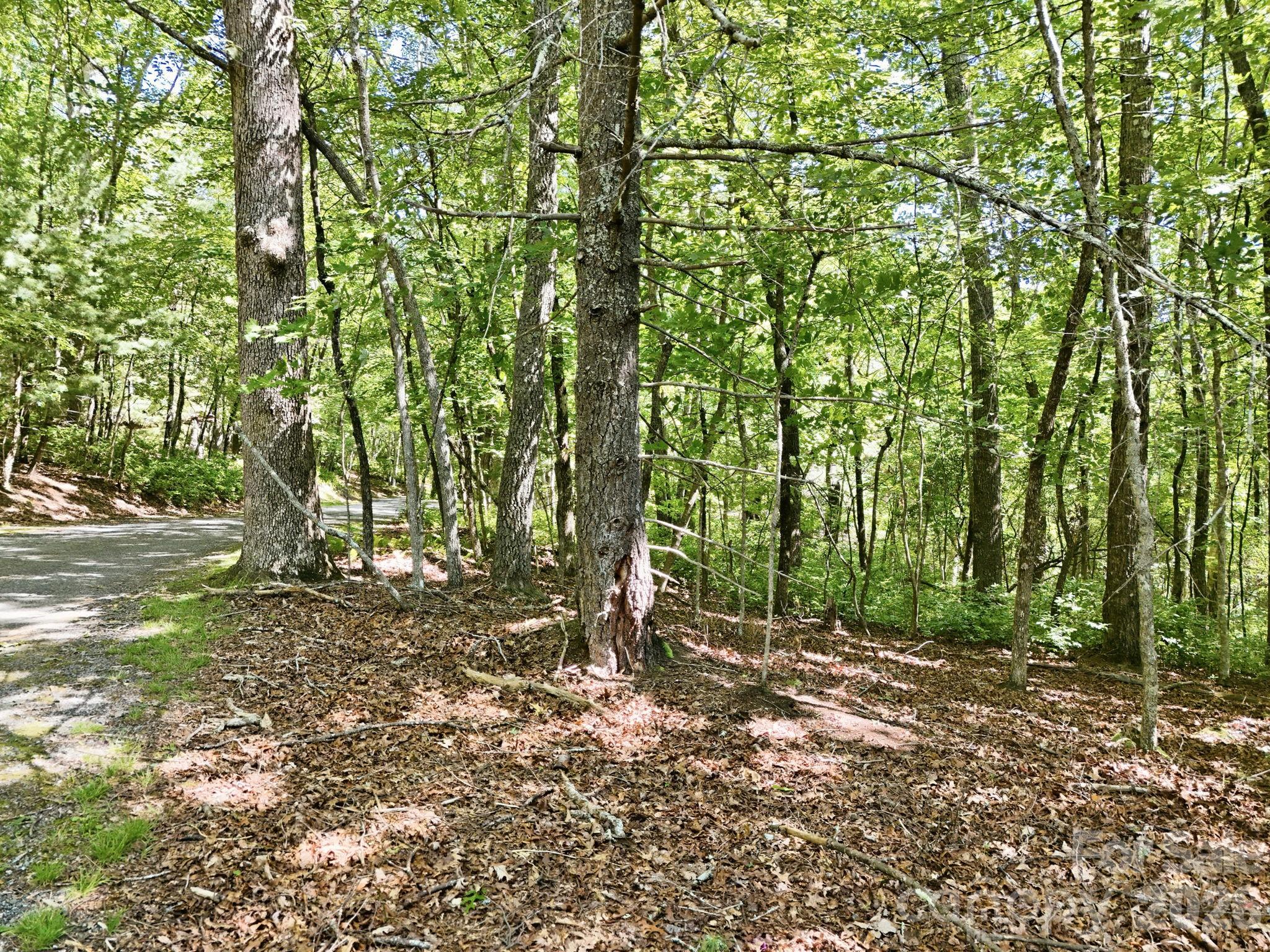 0 Mulberry Circle J-104 Property Photo 12
