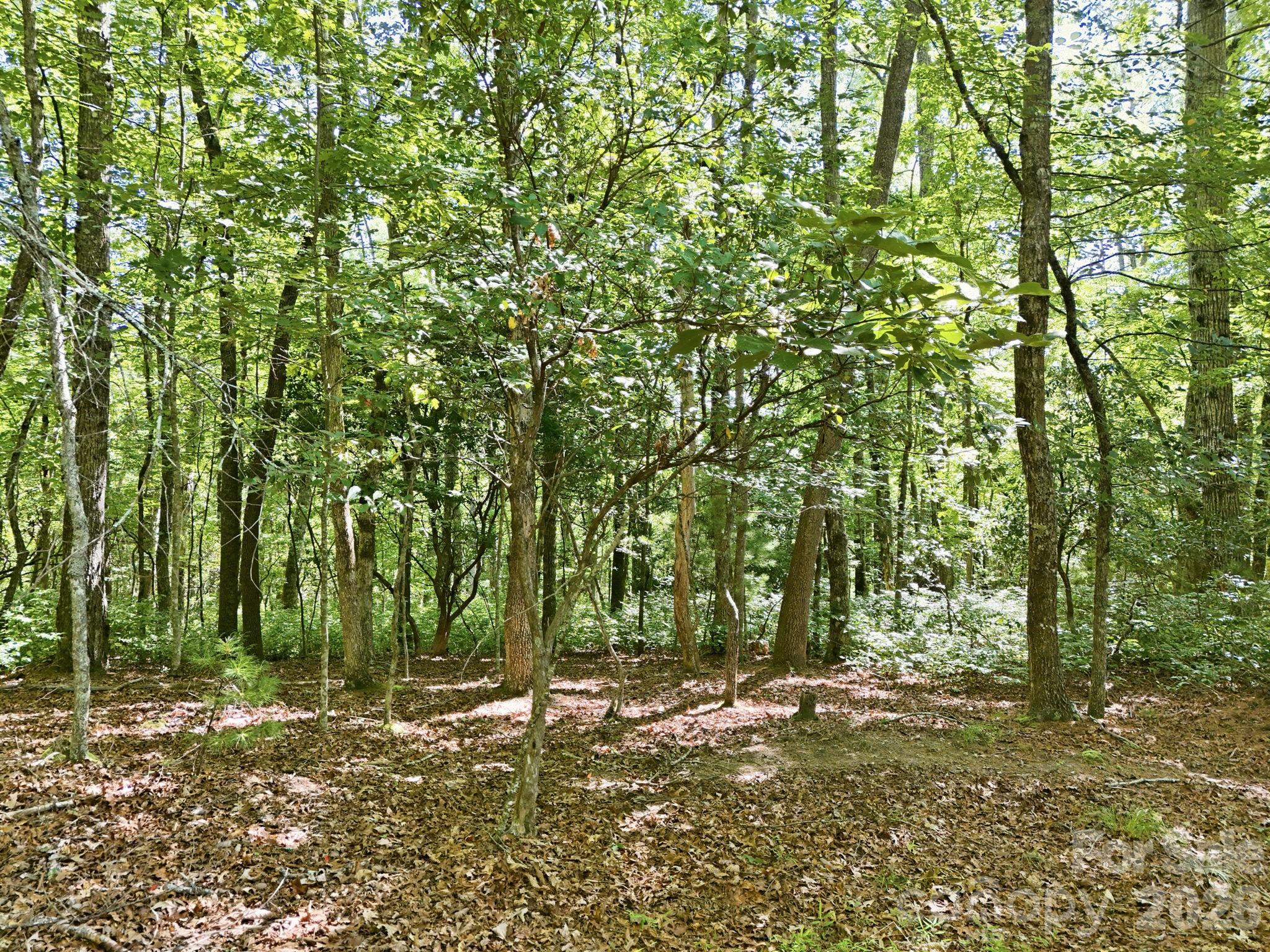 0 Mulberry Circle J-104 Property Photo 13