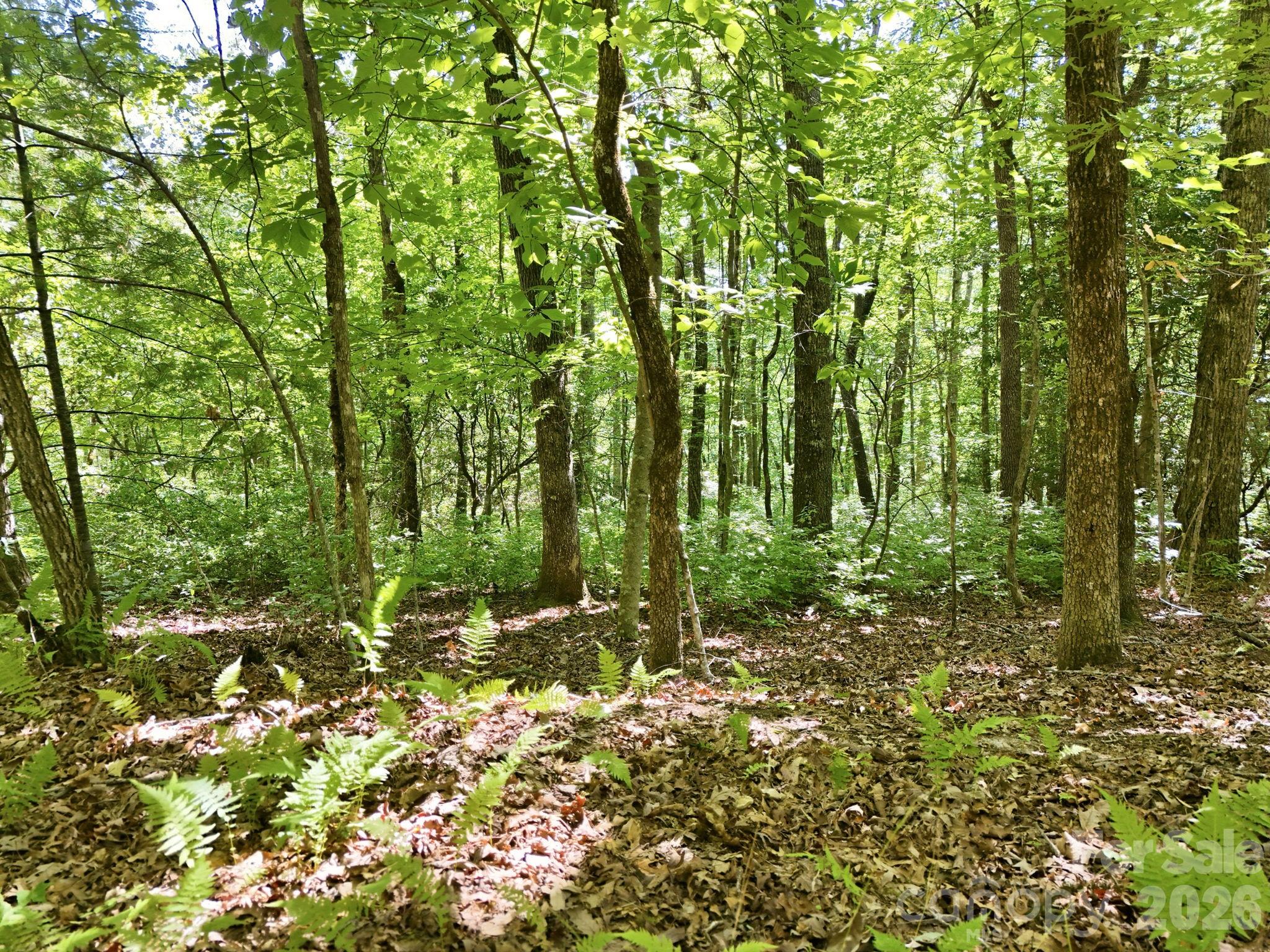0 Mulberry Circle J-104 Property Photo 14