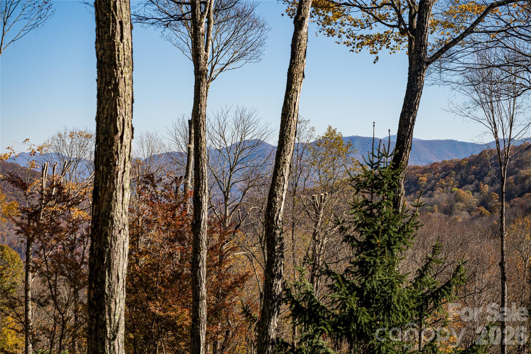 580 Flying Hawk Trail Property Photo 40