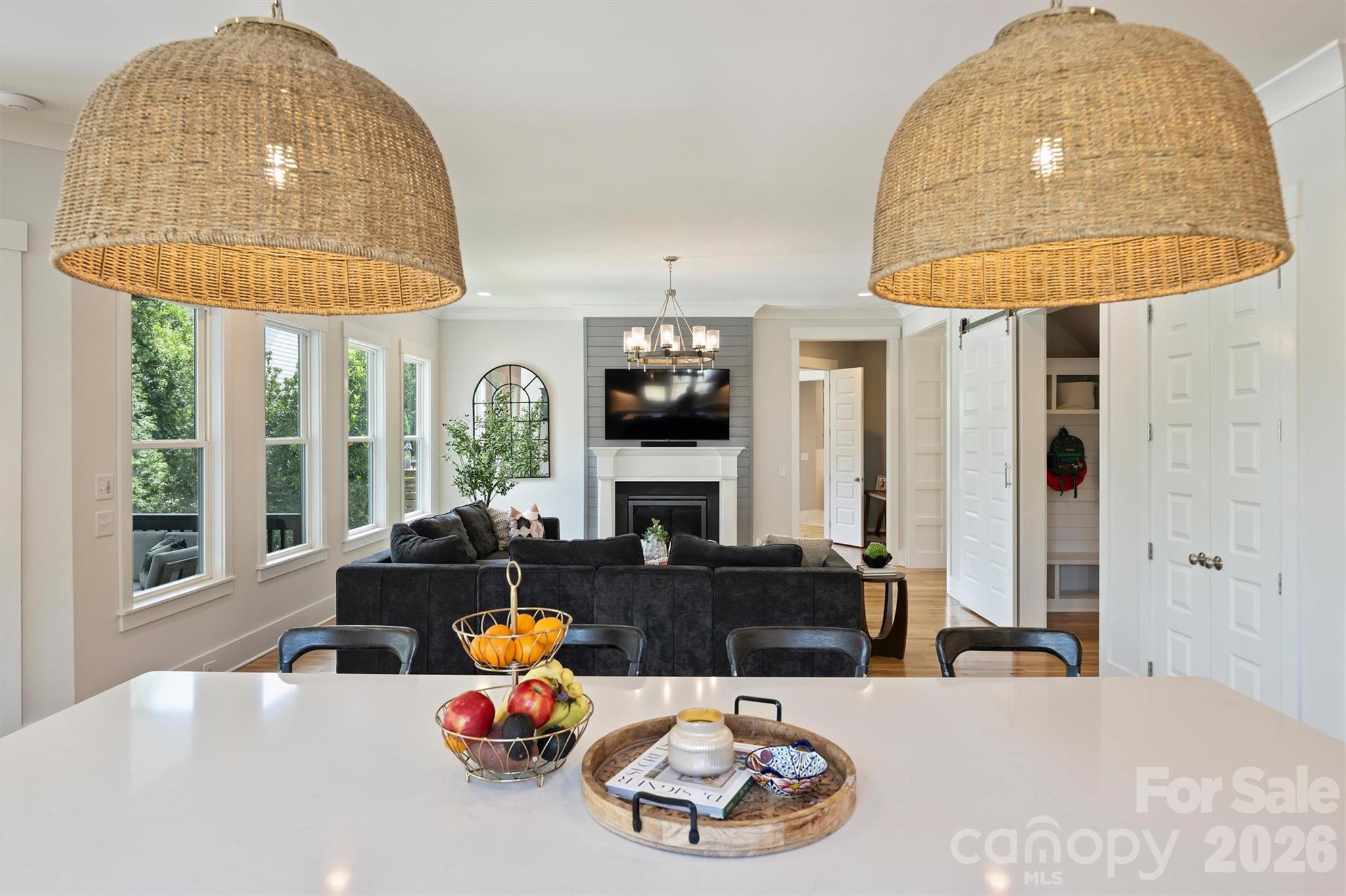 215 Hartford Avenue Property Photo 17