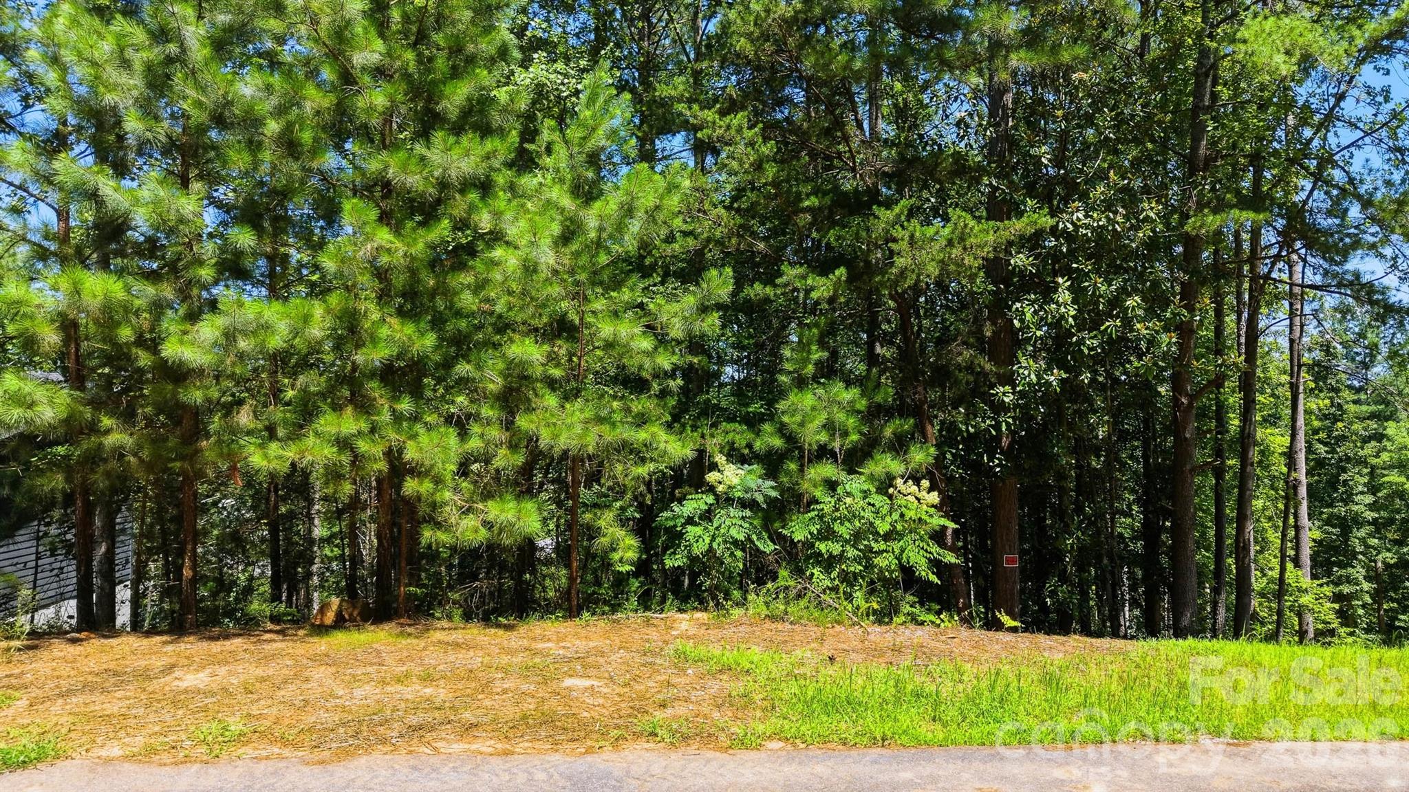 38 Peaceful Cove Court Property Photo 9