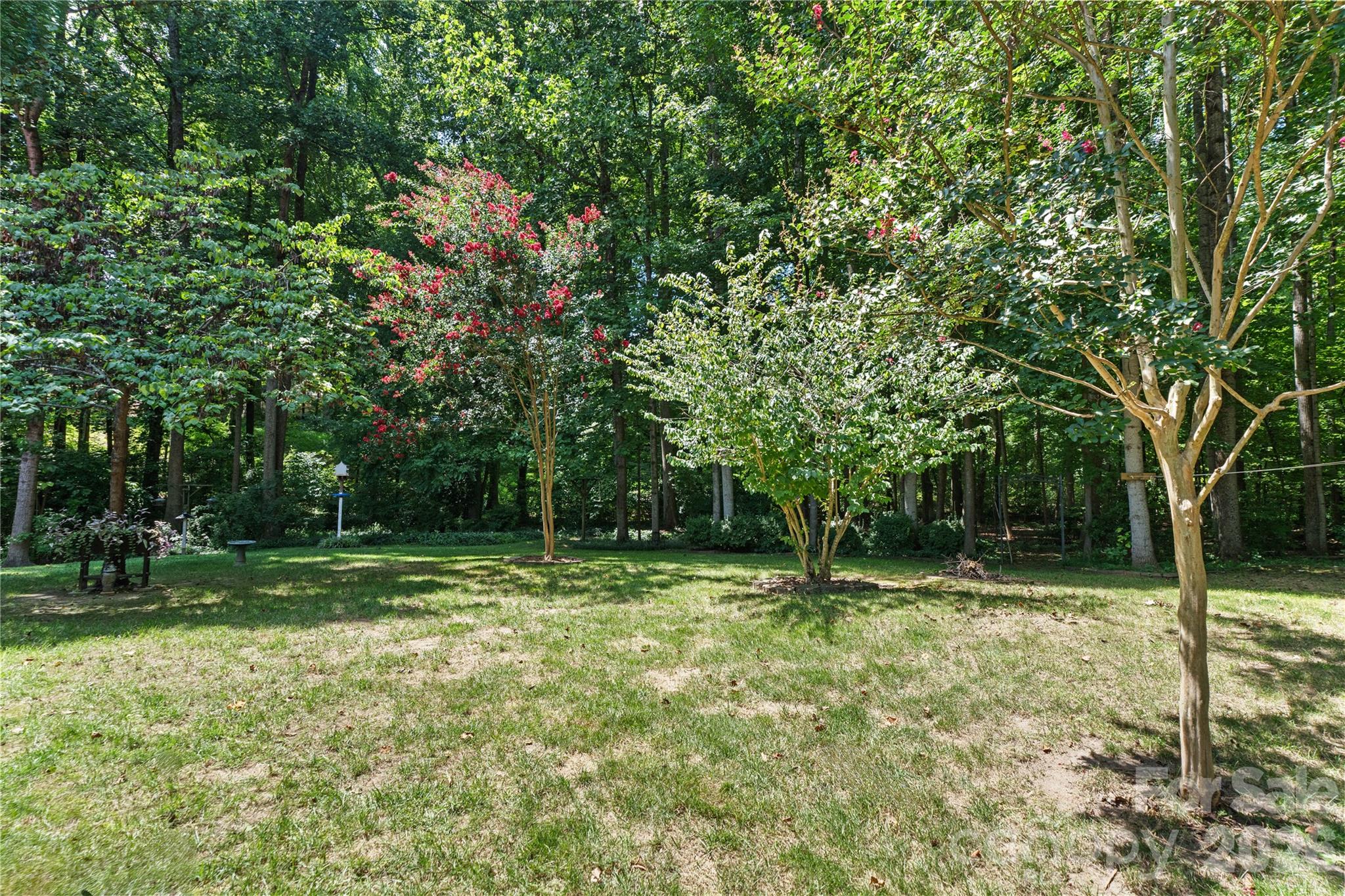 2017 Cameron Heights Circle Property Photo 43