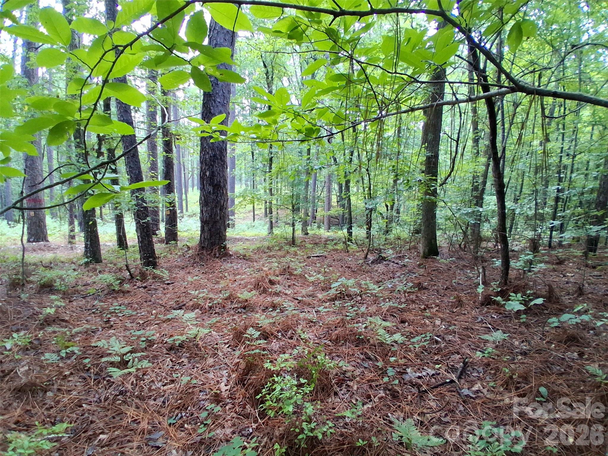 0 Nc 109 Highway Property Photo 1