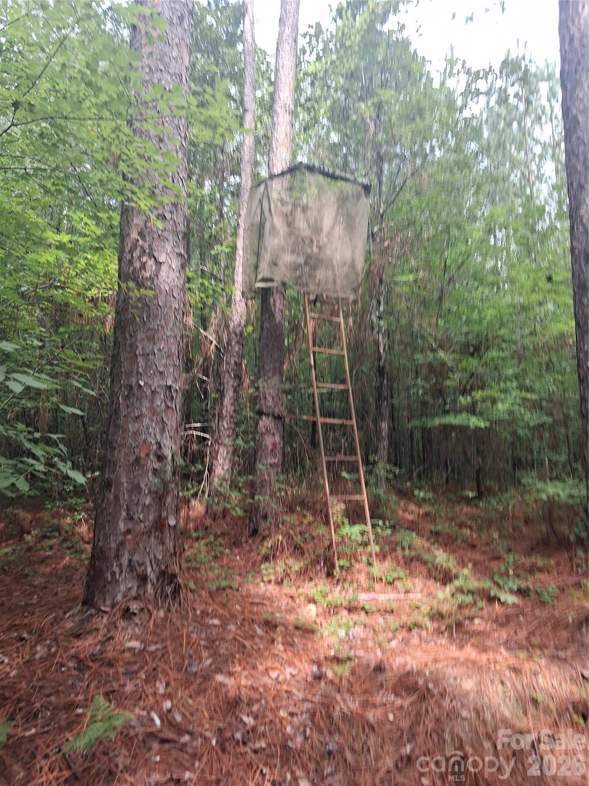 0 Nc 109 Highway Property Photo 2