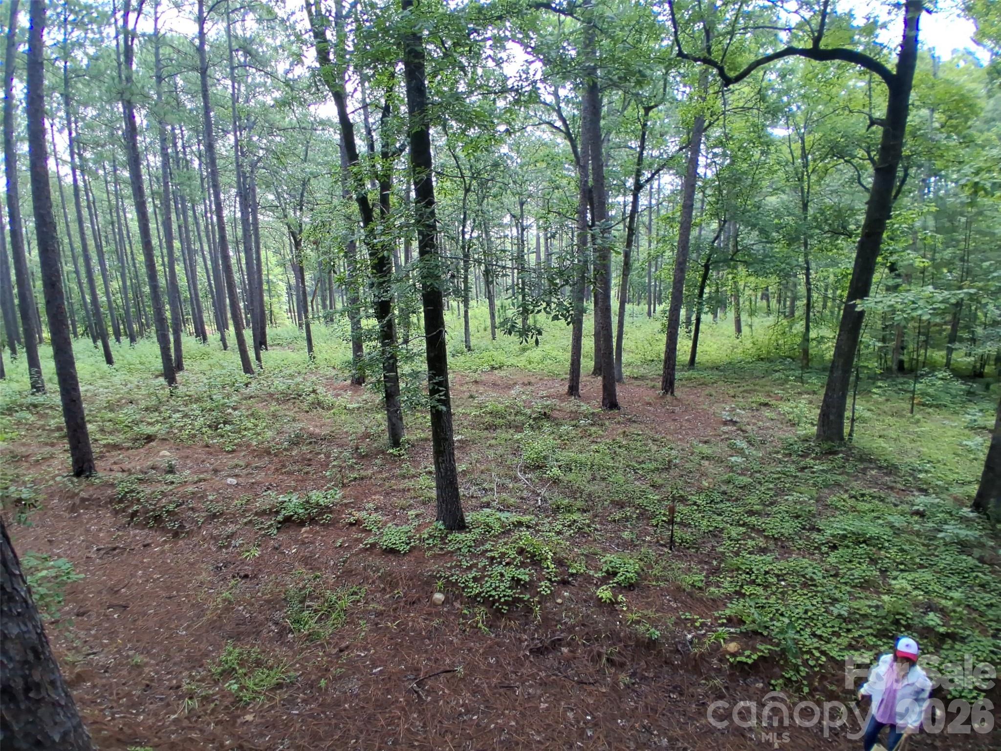 0 Nc 109 Highway Property Photo 3