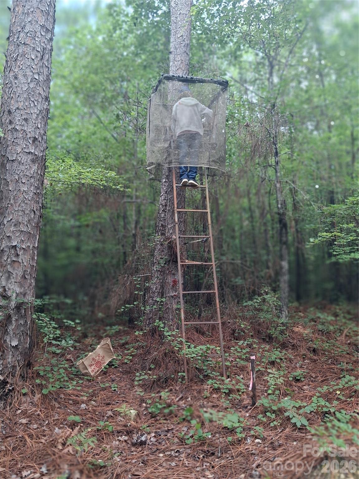 0 Nc 109 Highway Property Photo 4