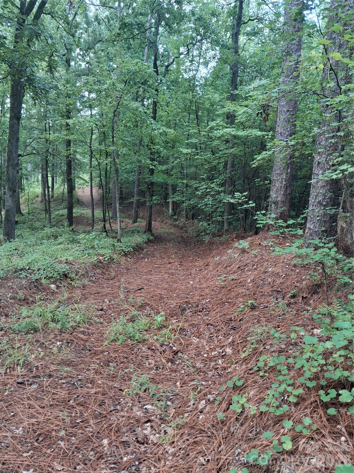 0 Nc 109 Highway Property Photo 5