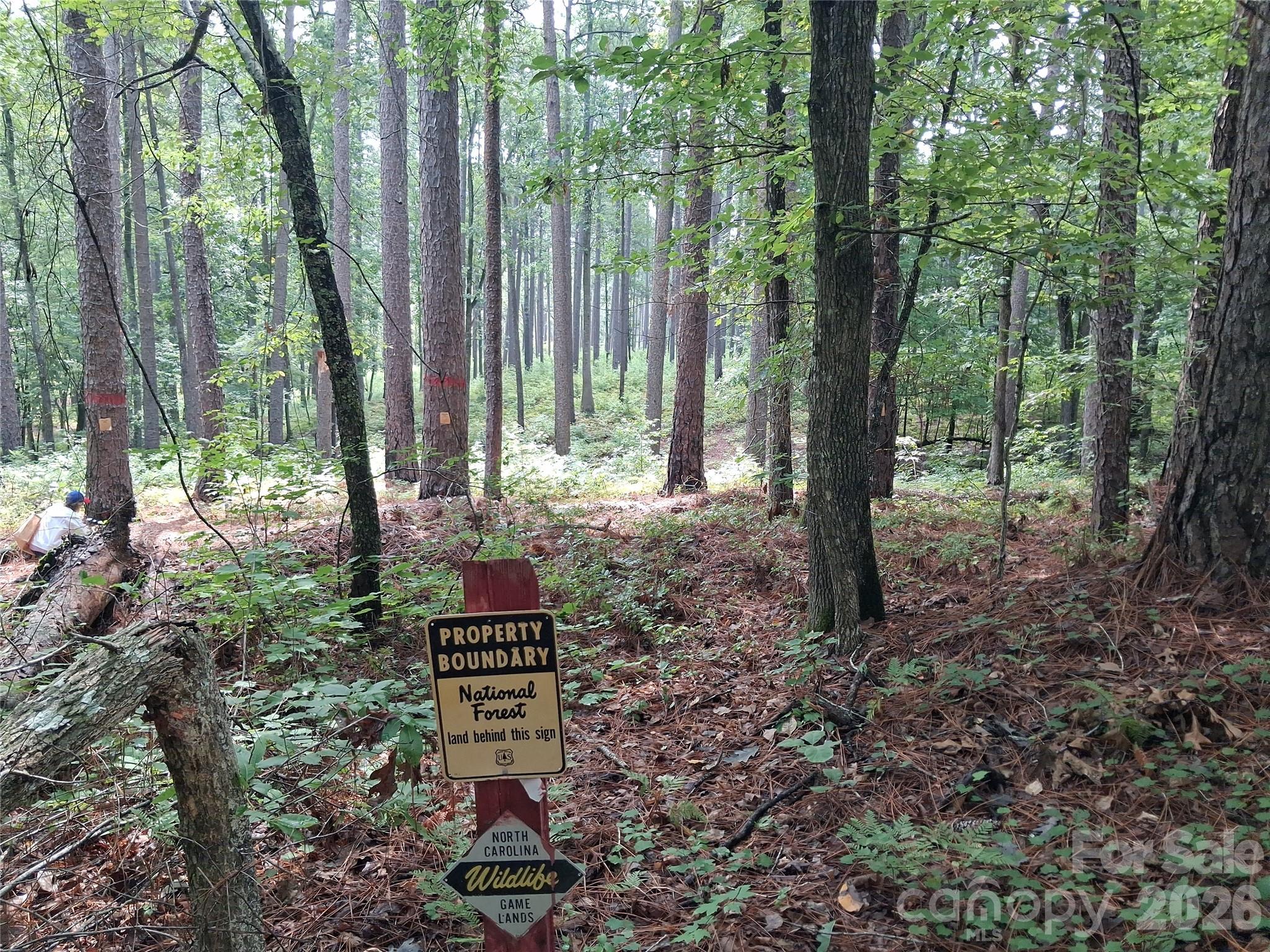0 Nc 109 Highway Property Photo 6