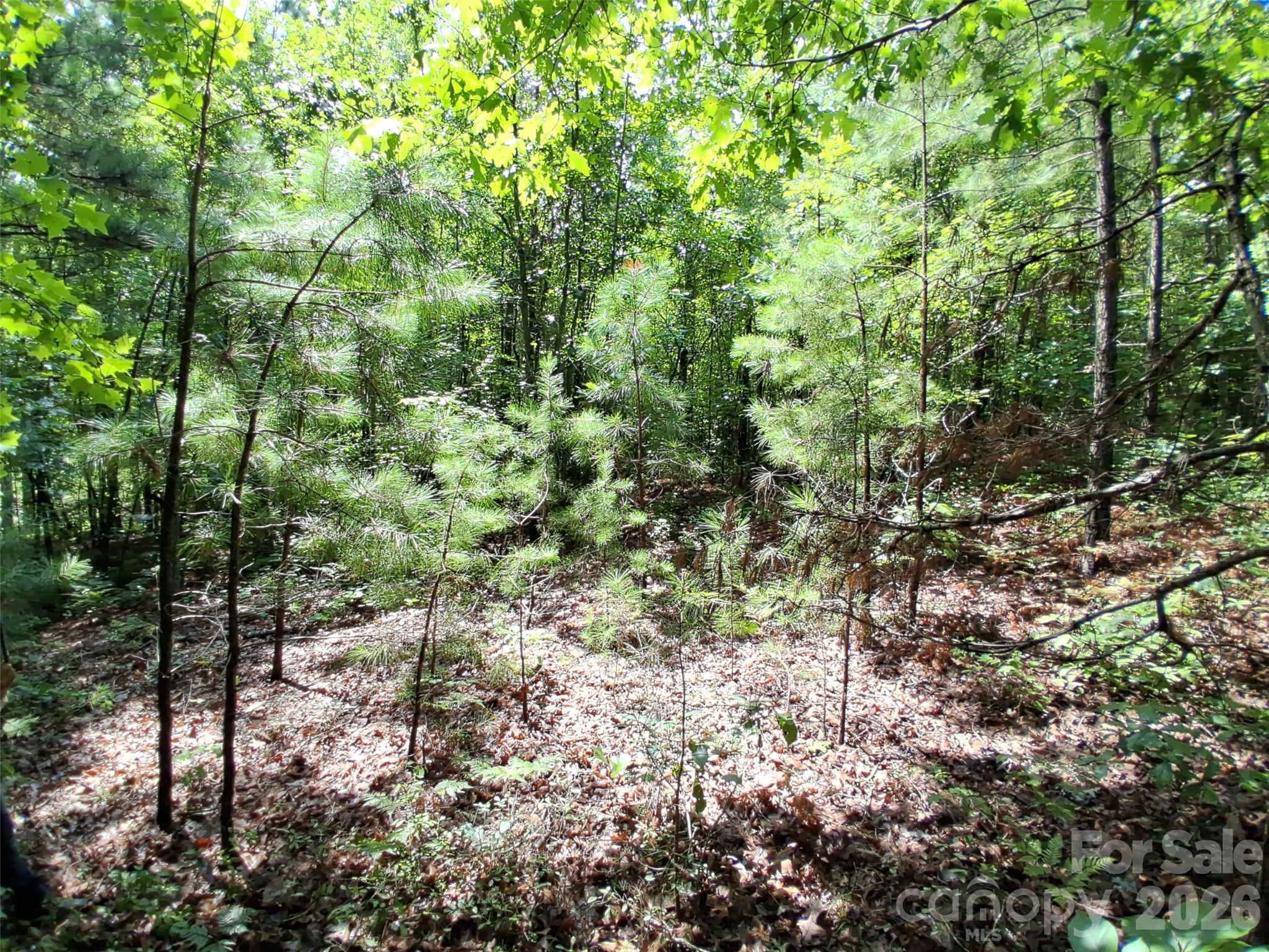 0 Nc 109 Highway Property Photo 7