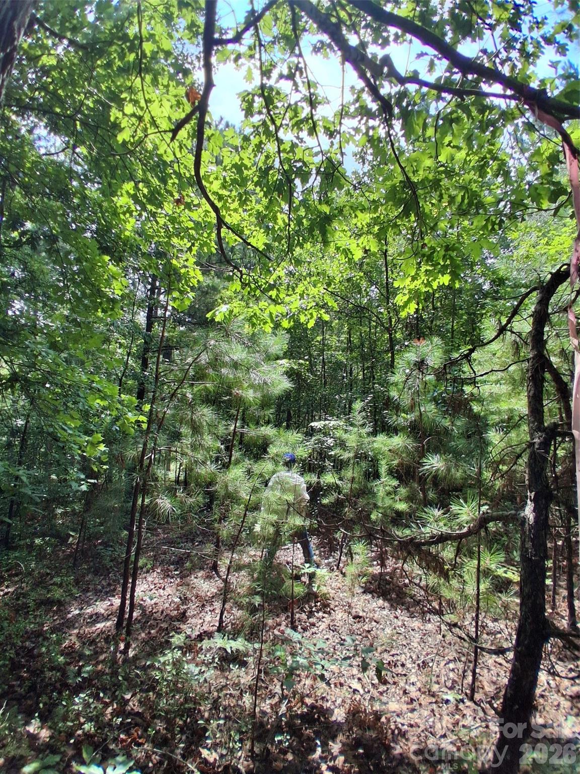 0 Nc 109 Highway Property Photo 8